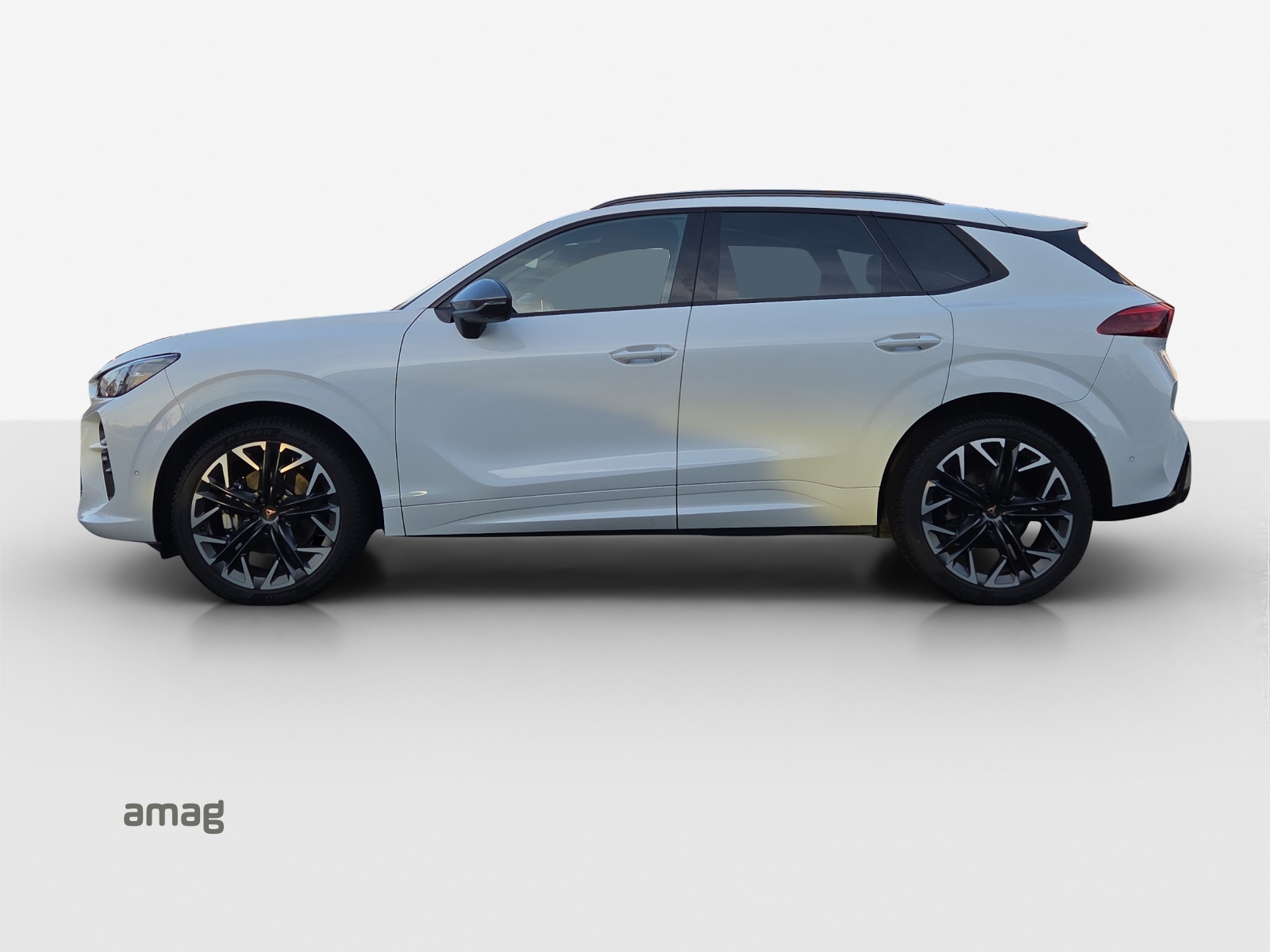 CUPRA Terramar 2.0 TSI DSG 4Drive-image-1