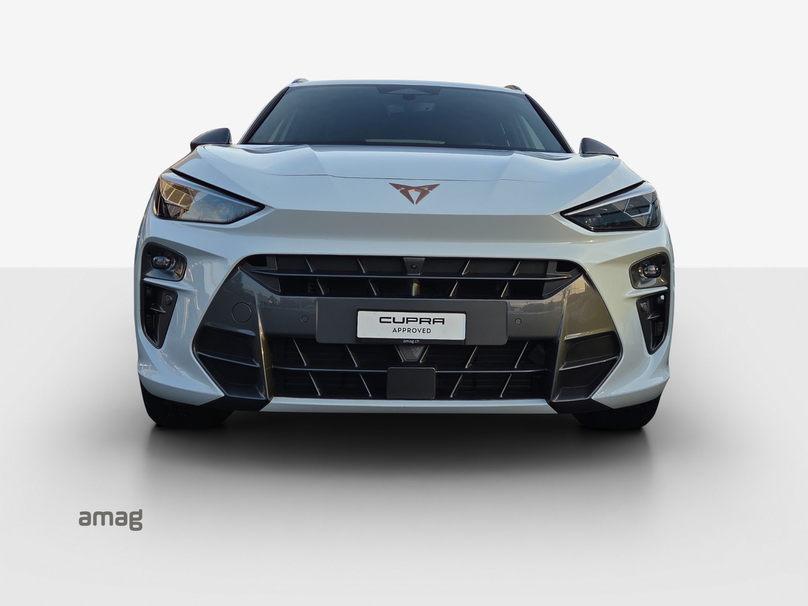 CUPRA Terramar 2.0 TSI DSG 4Drive-image-6