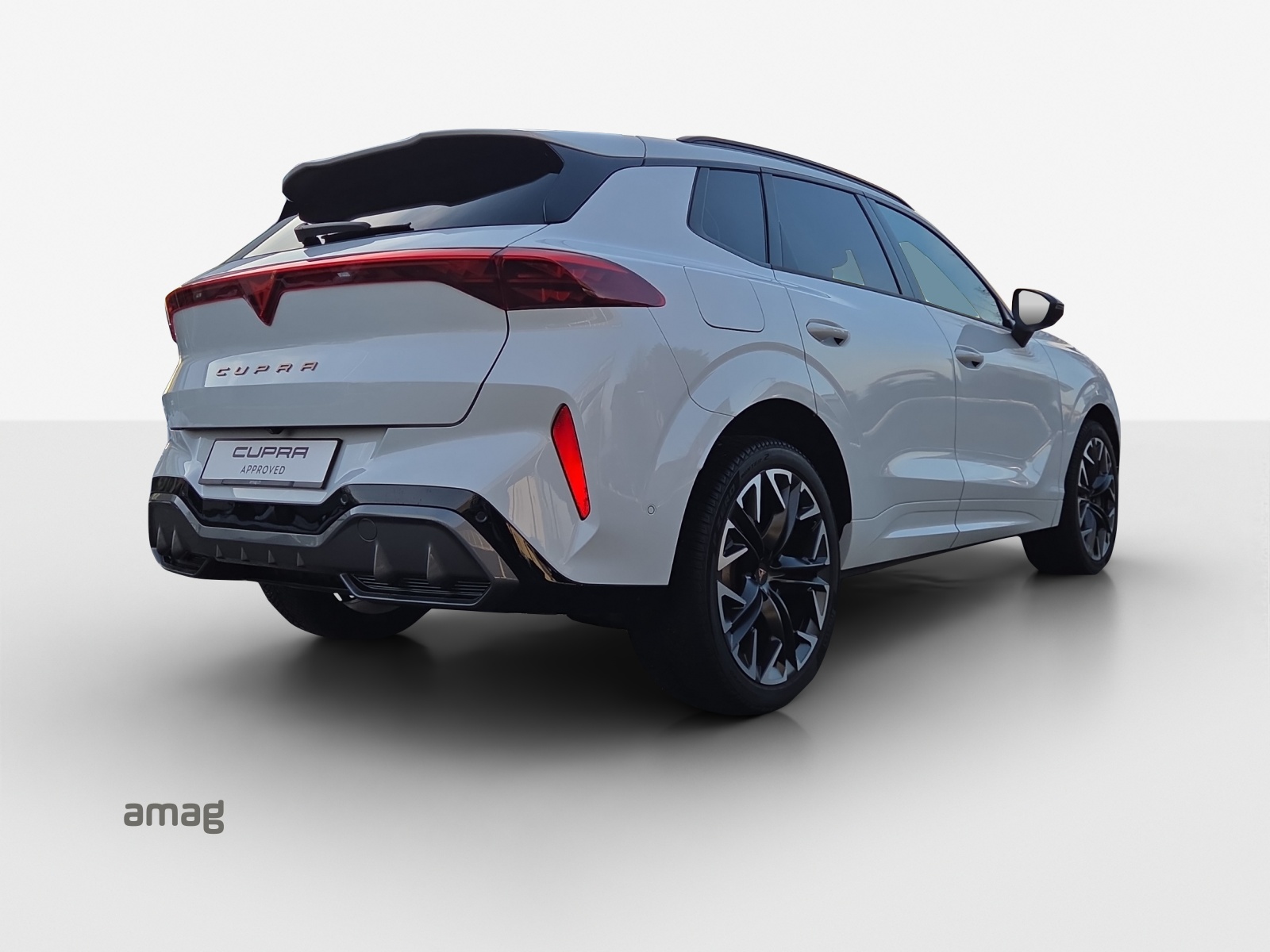 CUPRA Terramar 2.0 TSI DSG 4Drive-image-4