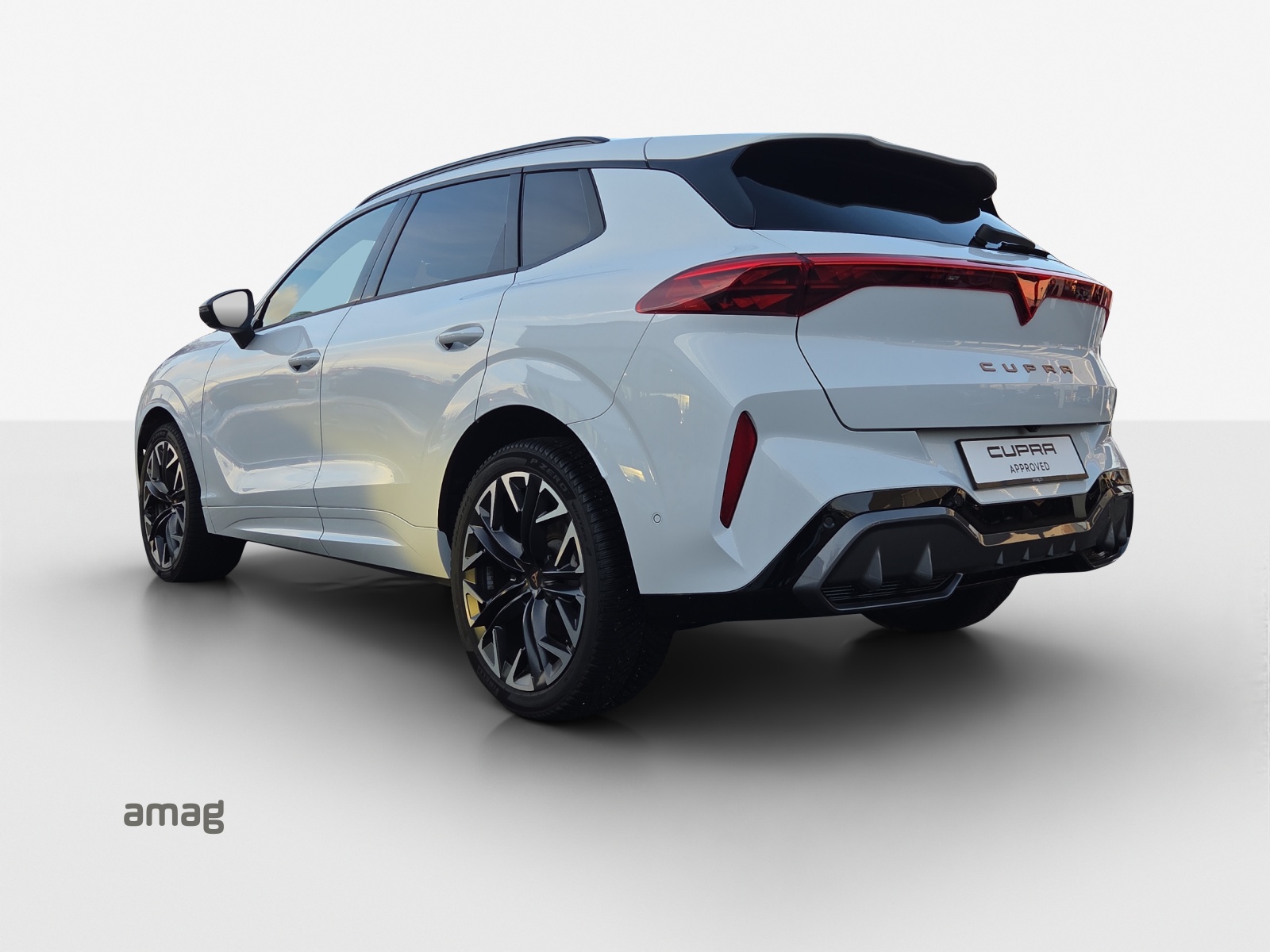 CUPRA Terramar 2.0 TSI DSG 4Drive-image-2