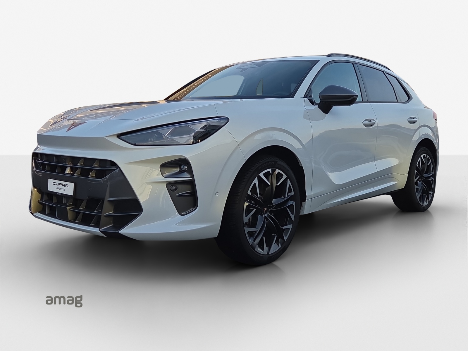 CUPRA Terramar 2.0 TSI DSG 4Drive-image-0