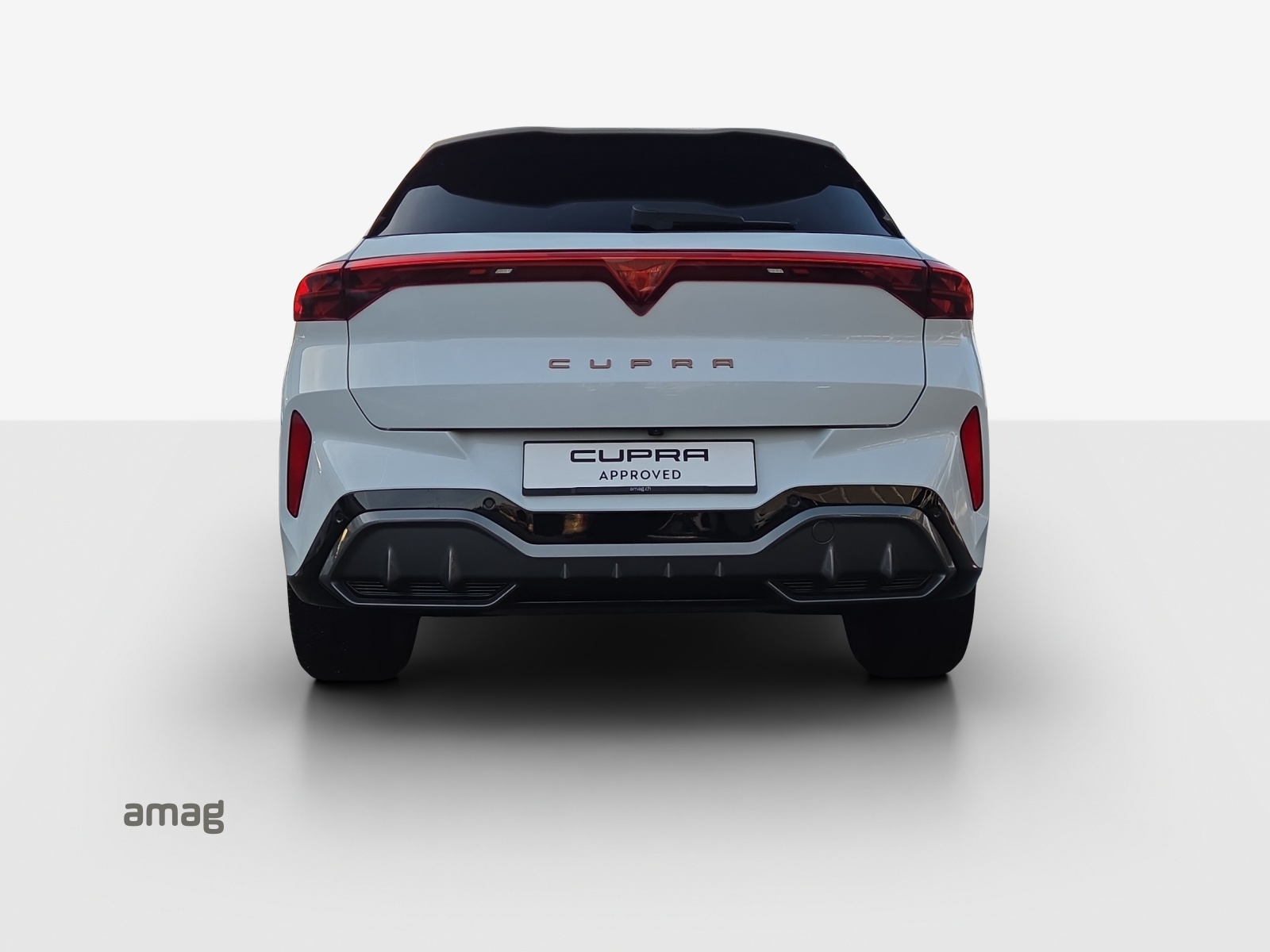 CUPRA Terramar 2.0 TSI DSG 4Drive-image-3