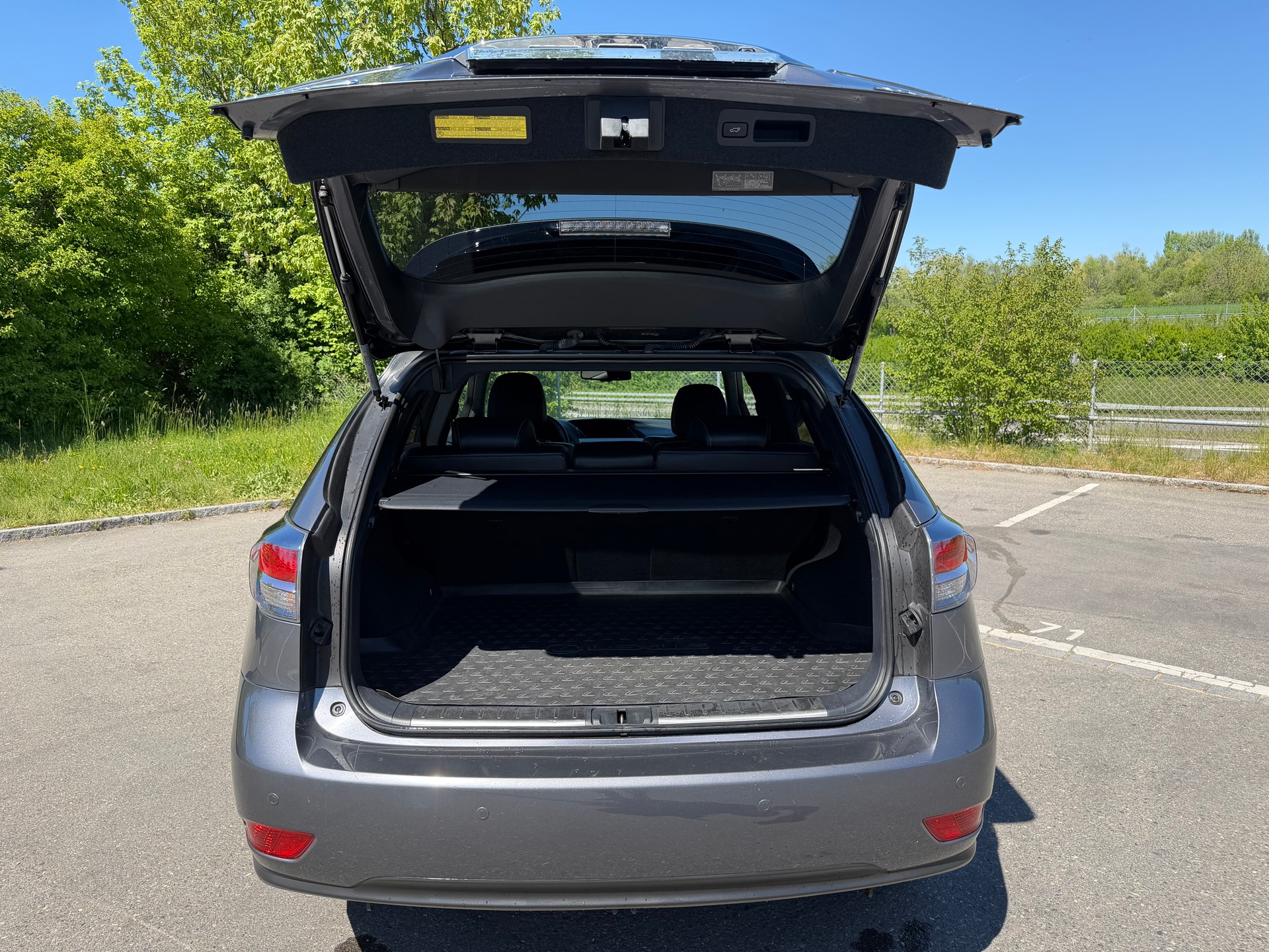 LEXUS RX 450h F-Sport-image-5