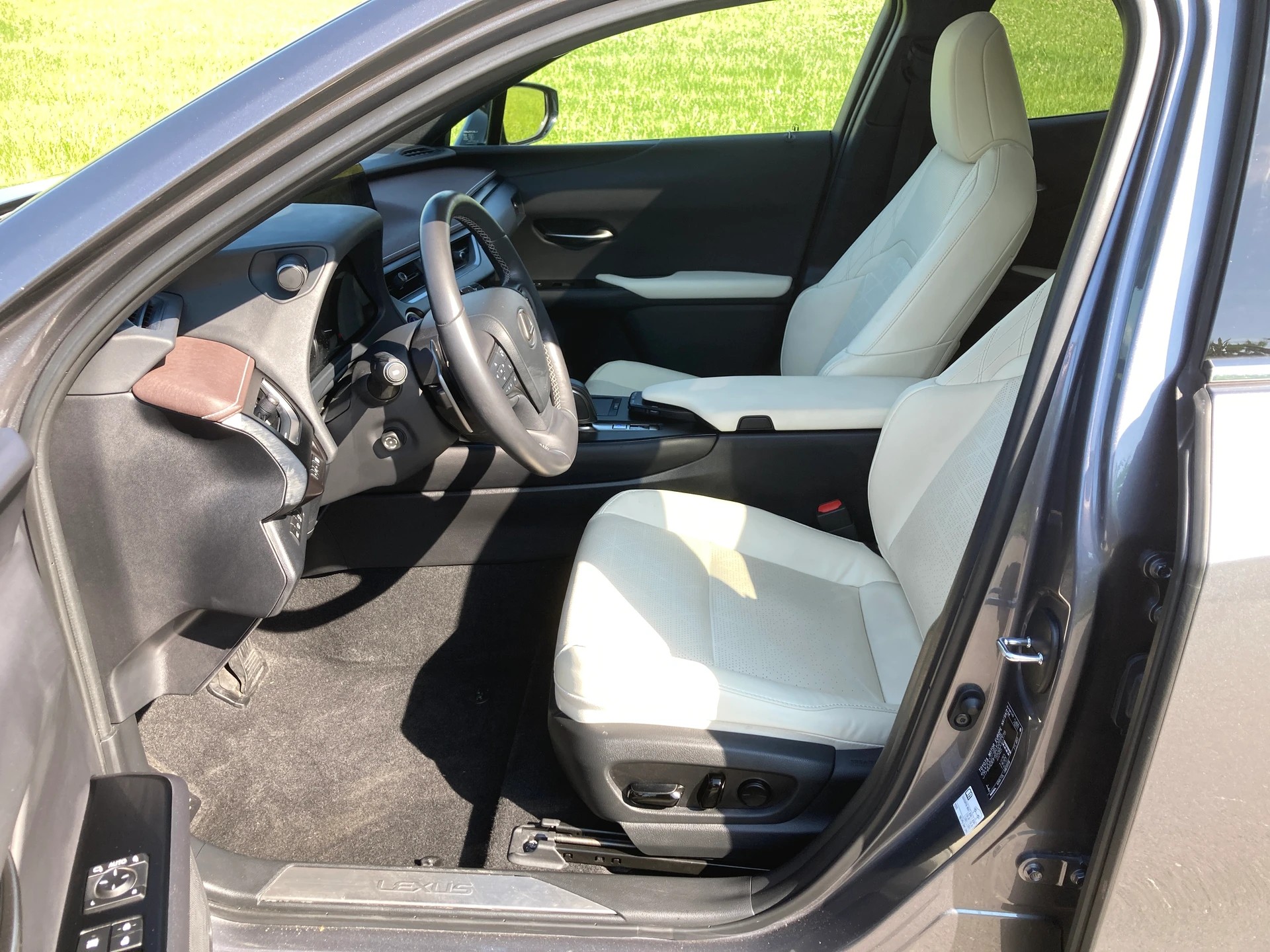 LEXUS UX 300e Excellence Automatic-image-8