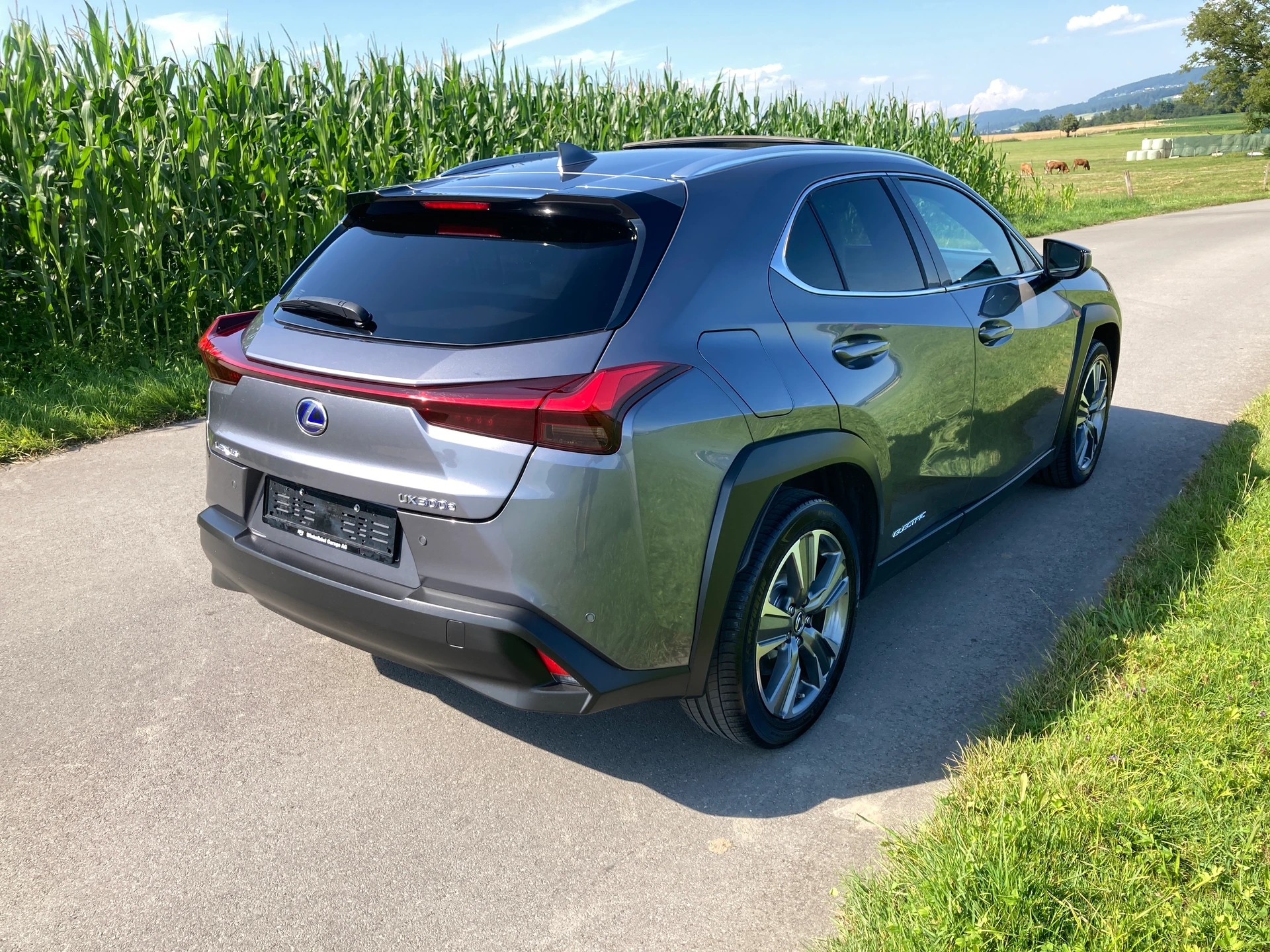 LEXUS UX 300e Excellence Automatic-image-2