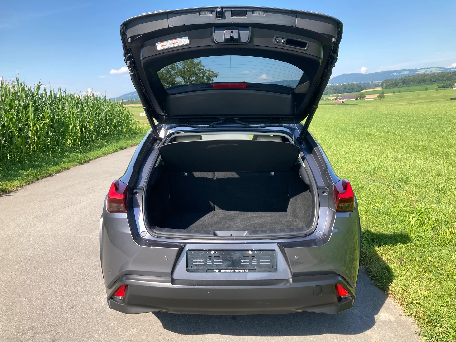 LEXUS UX 300e Excellence Automatic-image-5