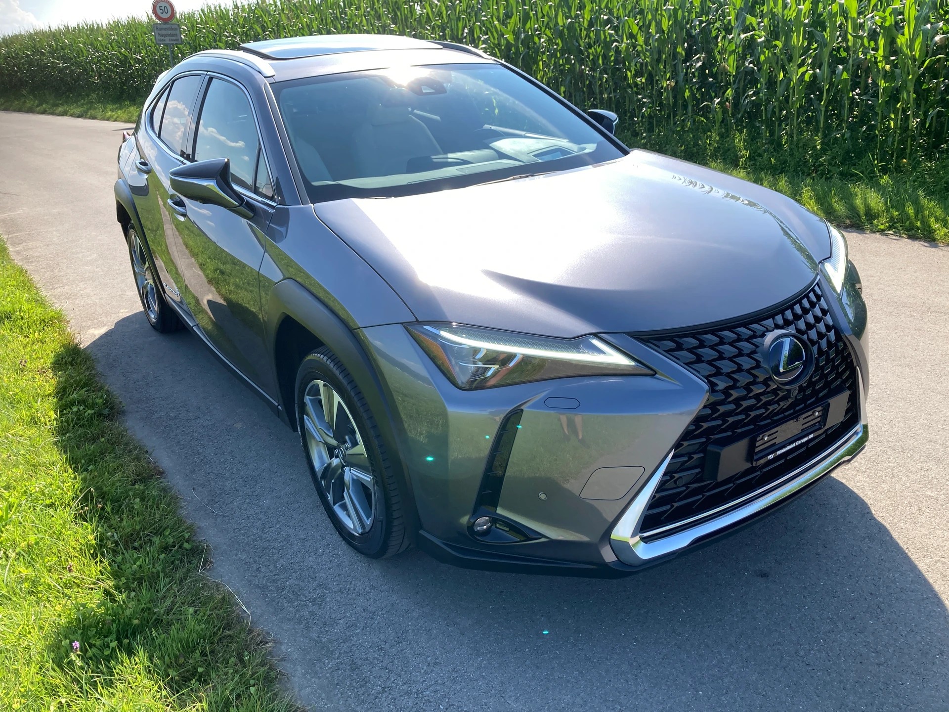 LEXUS UX 300e Excellence Automatic-image-1