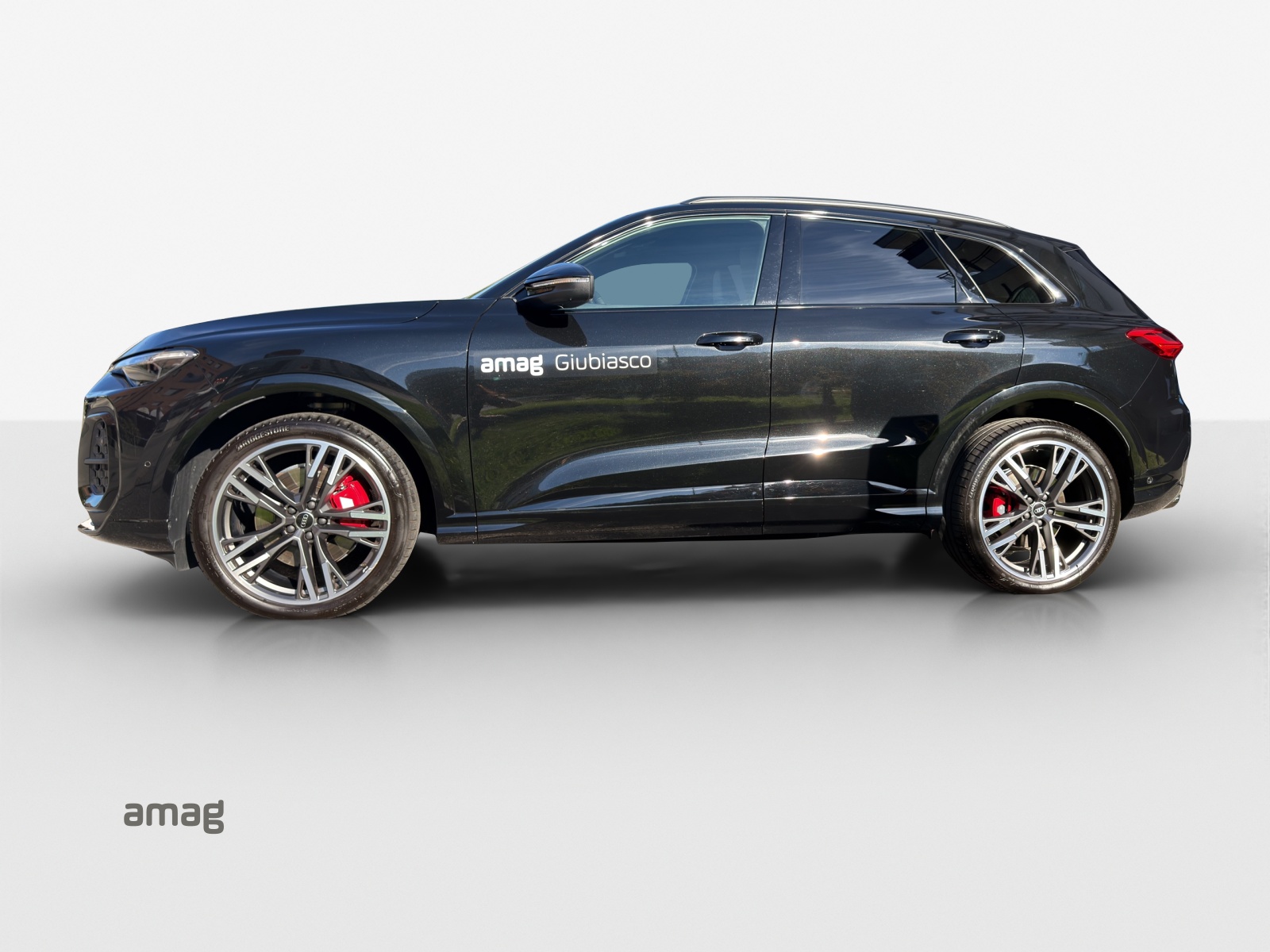 AUDI SQ5 TFSI quattro S-tronic-showroom-element-1