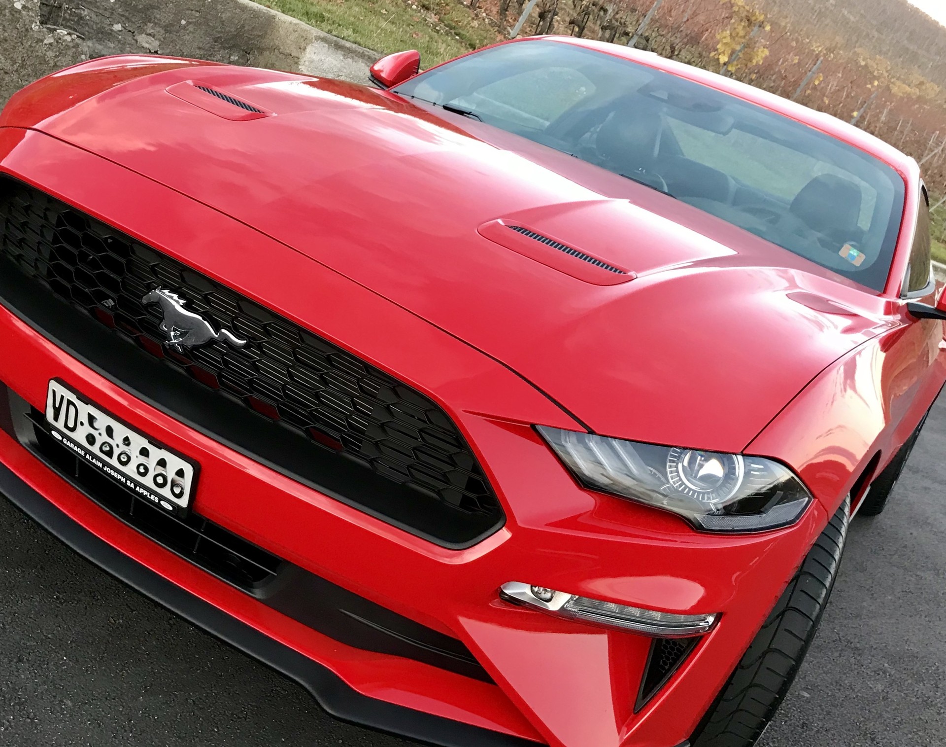 FORD 2.3 EcoBoost-image-2