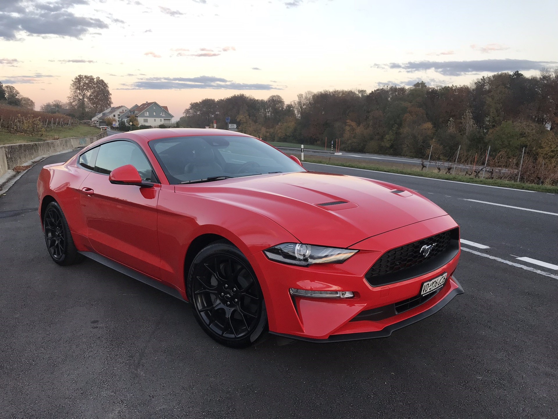 FORD 2.3 EcoBoost-image-0