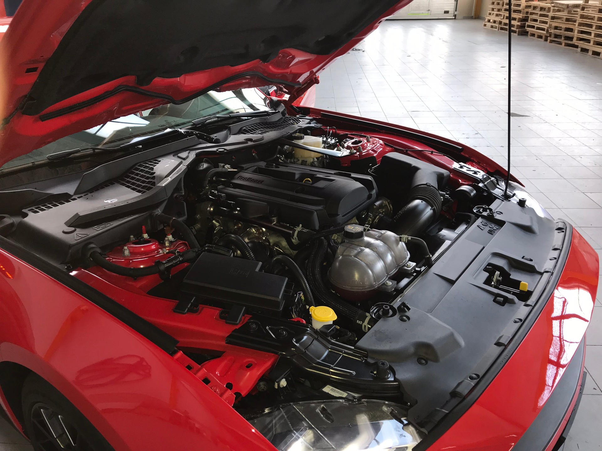 FORD 2.3 EcoBoost-image-5