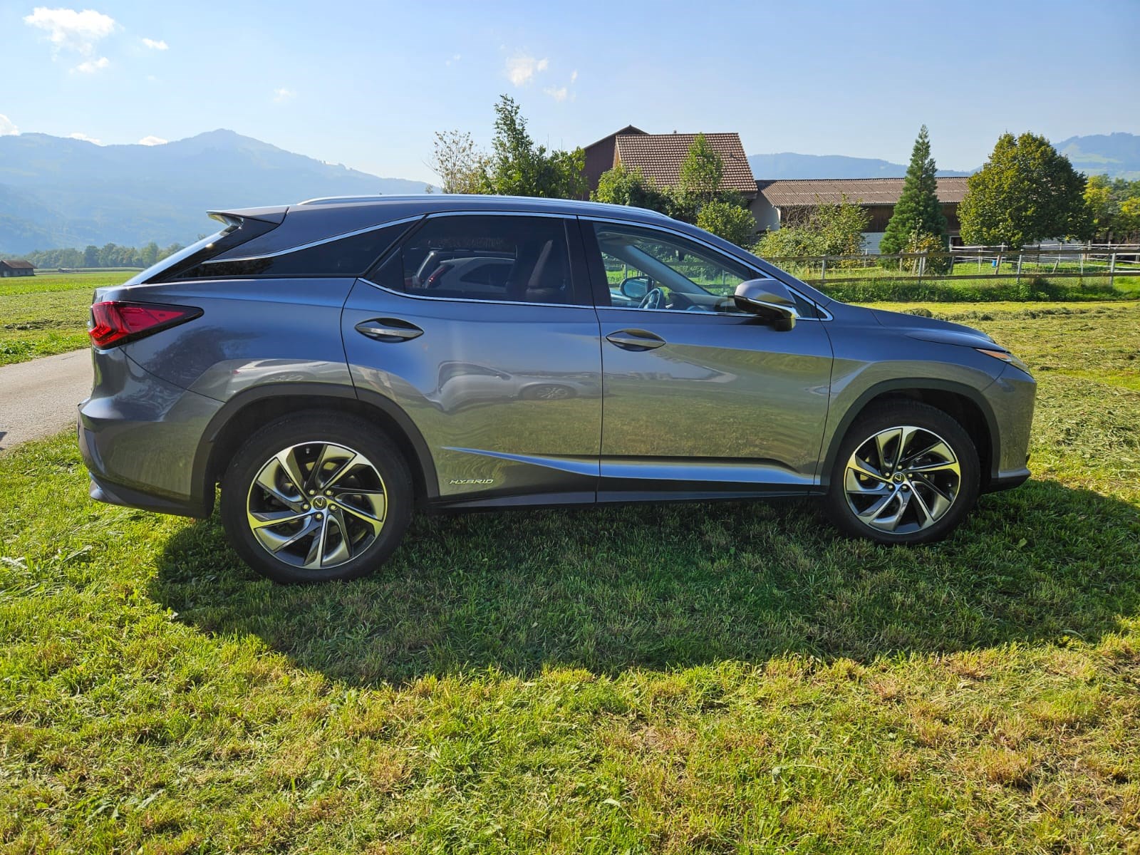 LEXUS RX 450h excellence AWD CVT-image-1