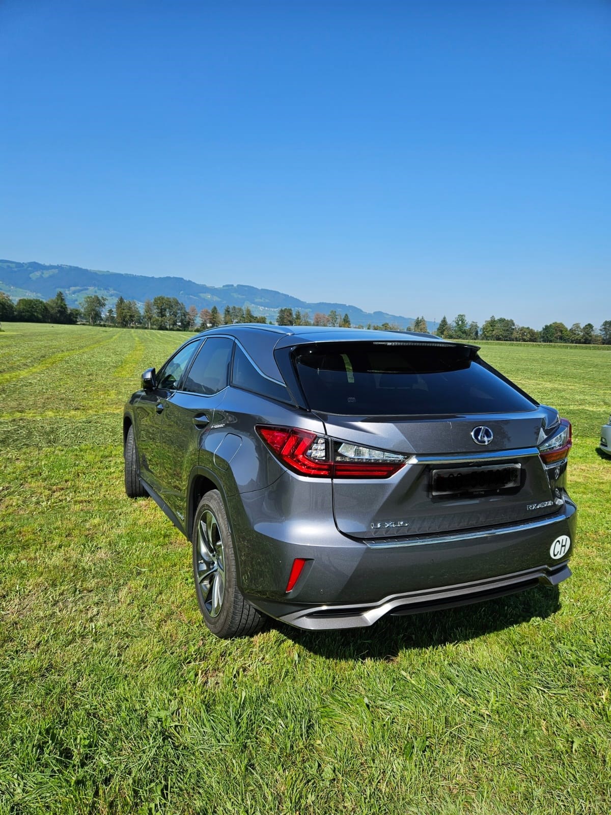 LEXUS RX 450h excellence AWD CVT-image-5