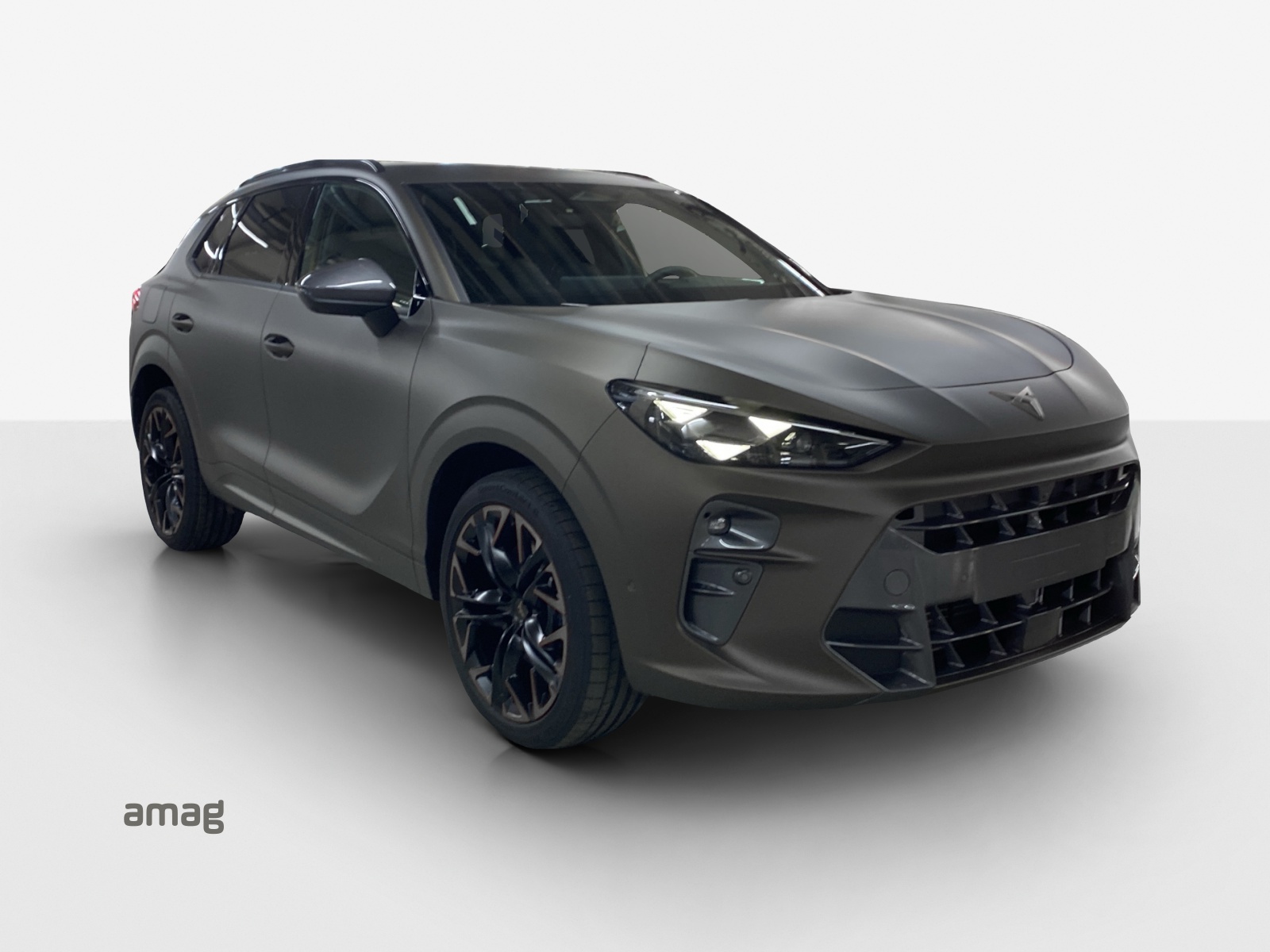 CUPRA Terramar 2.0 TSI DSG 4Drive VZ-image-5
