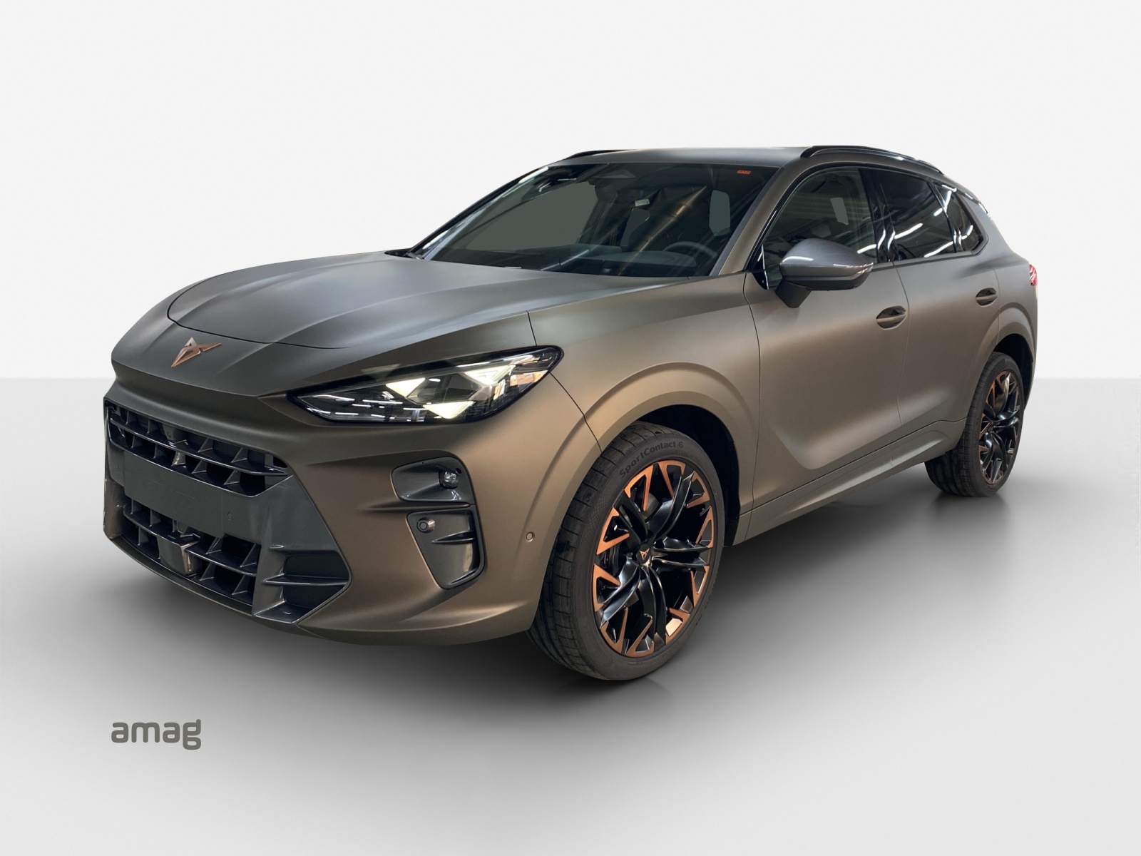 CUPRA Terramar 2.0 TSI DSG 4Drive VZ-image-0
