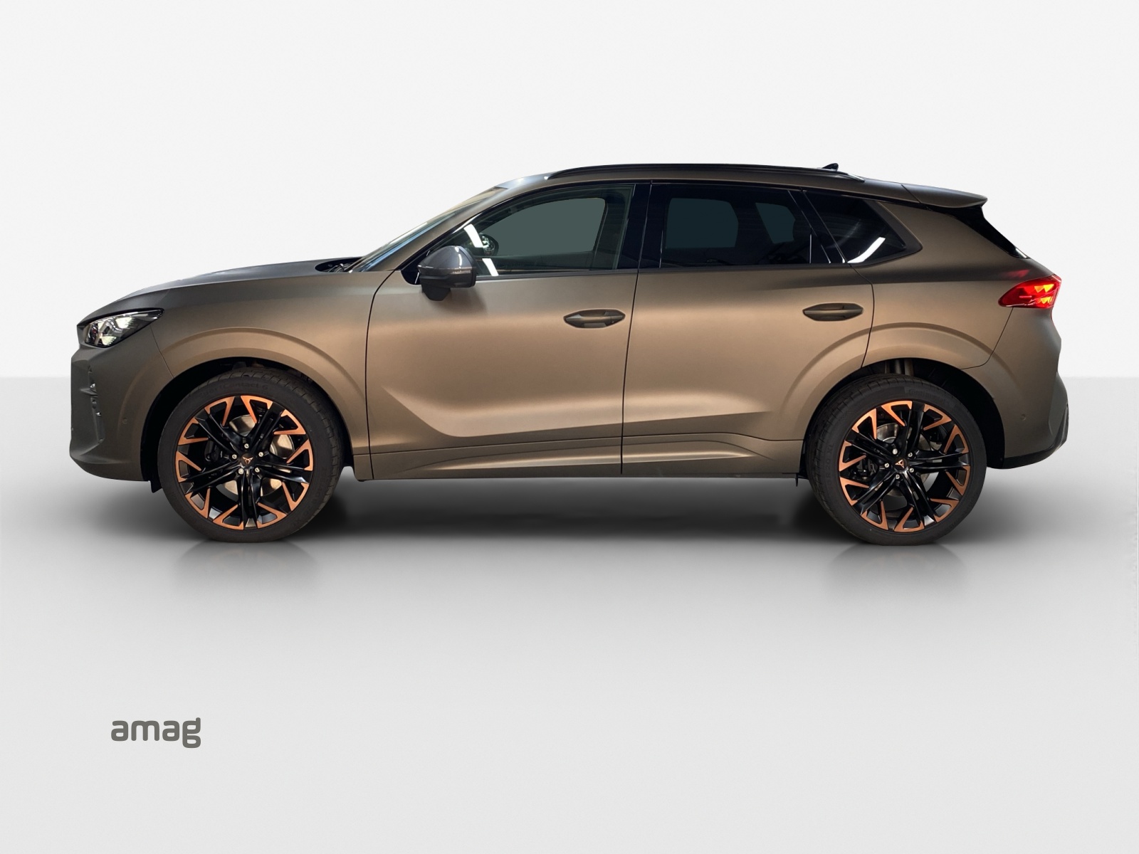 CUPRA Terramar 2.0 TSI DSG 4Drive VZ-image-1