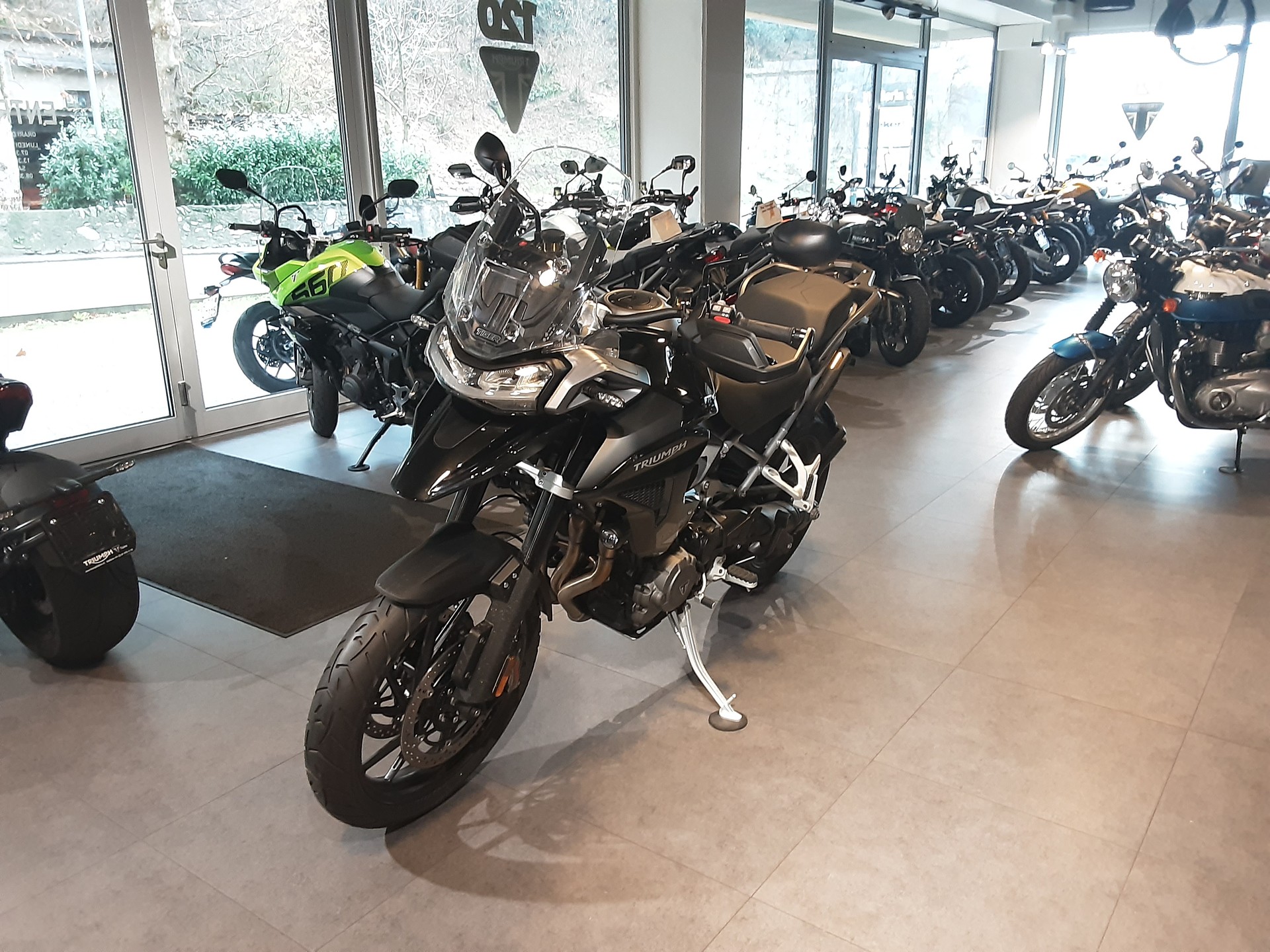 TRIUMPH Tiger 1200 GT Pro-image-3