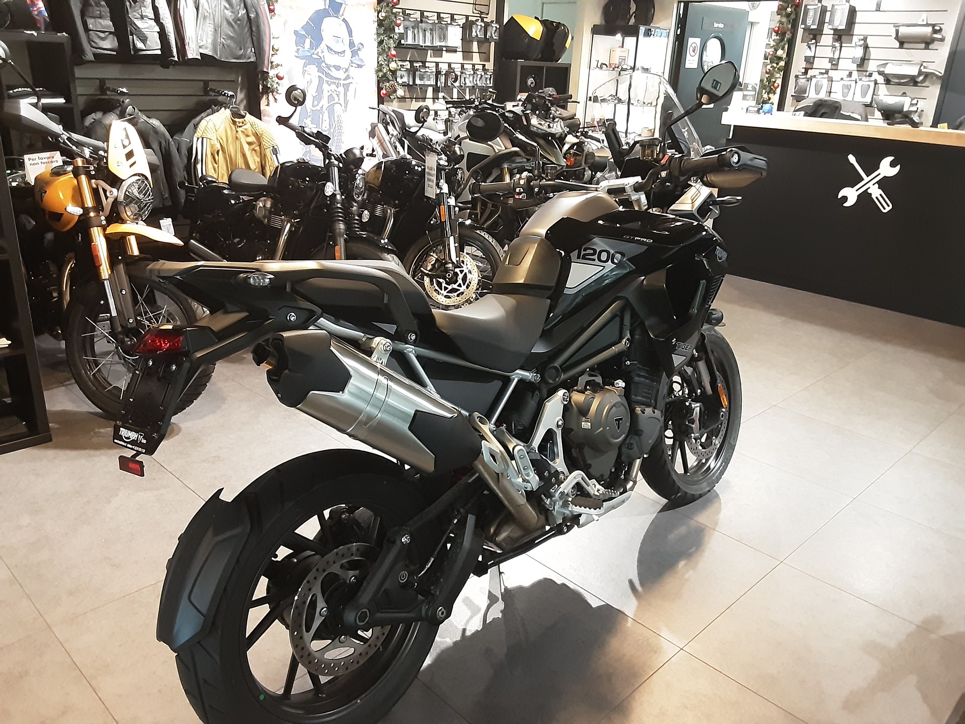 TRIUMPH Tiger 1200 GT Pro-image-4