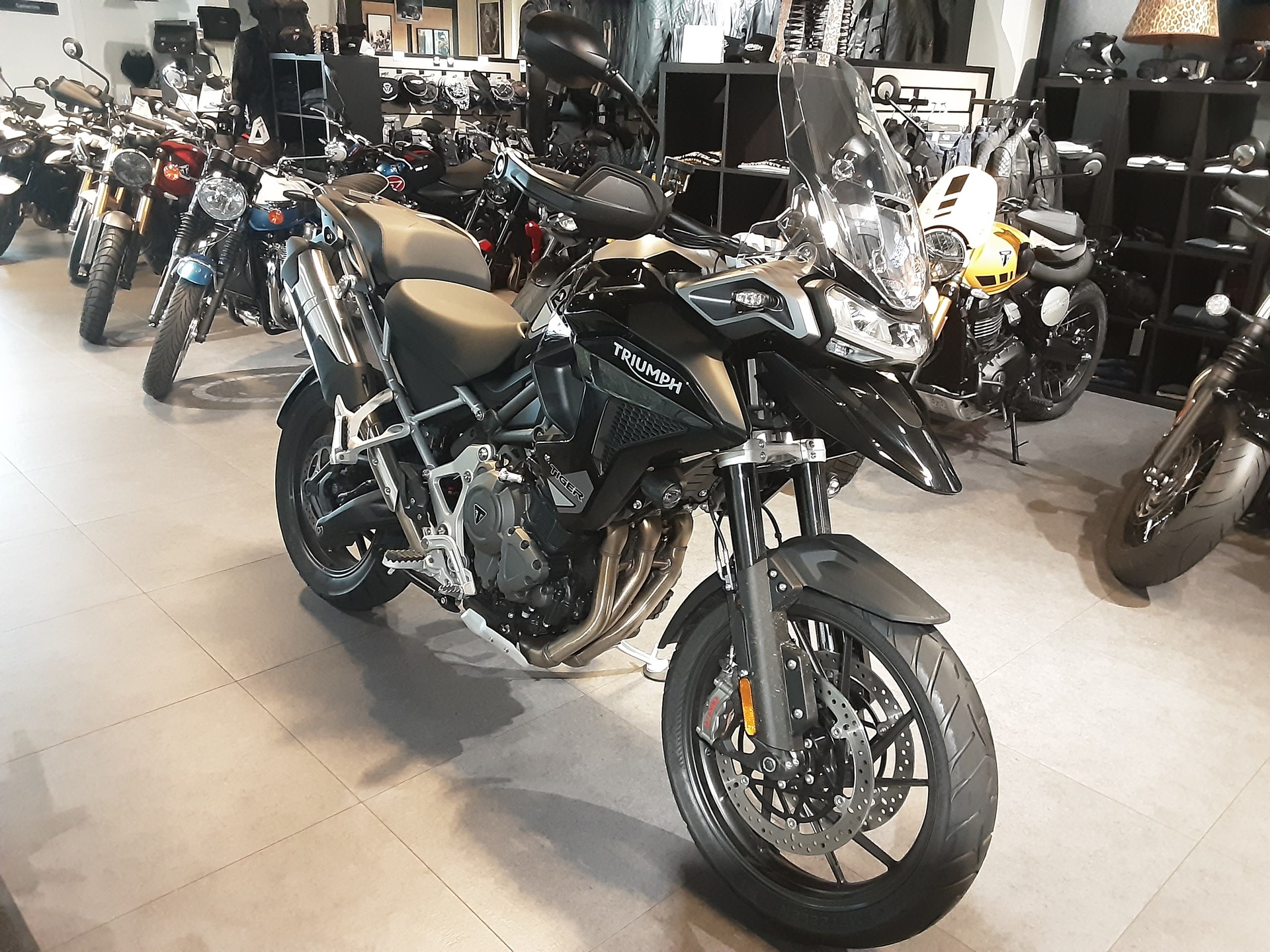 TRIUMPH Tiger 1200 GT Pro-image-2