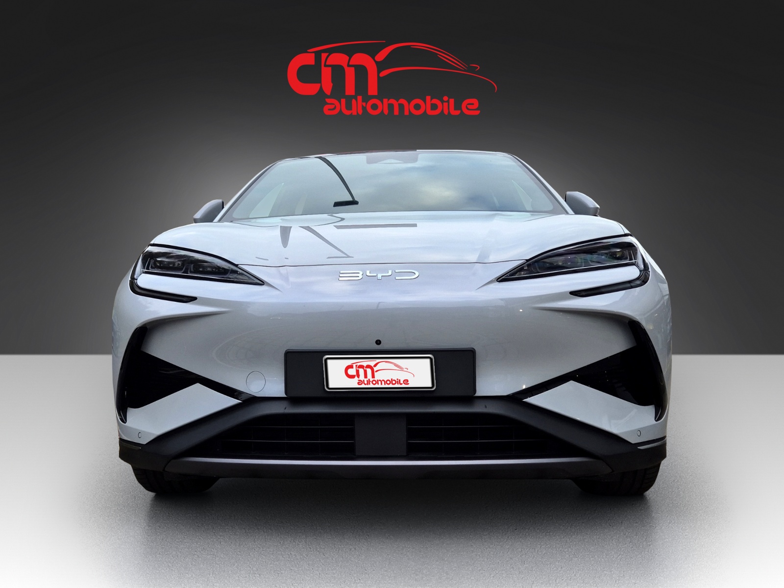 BYD Sealion 7 91,3 kWh Excellence AWD-image-9