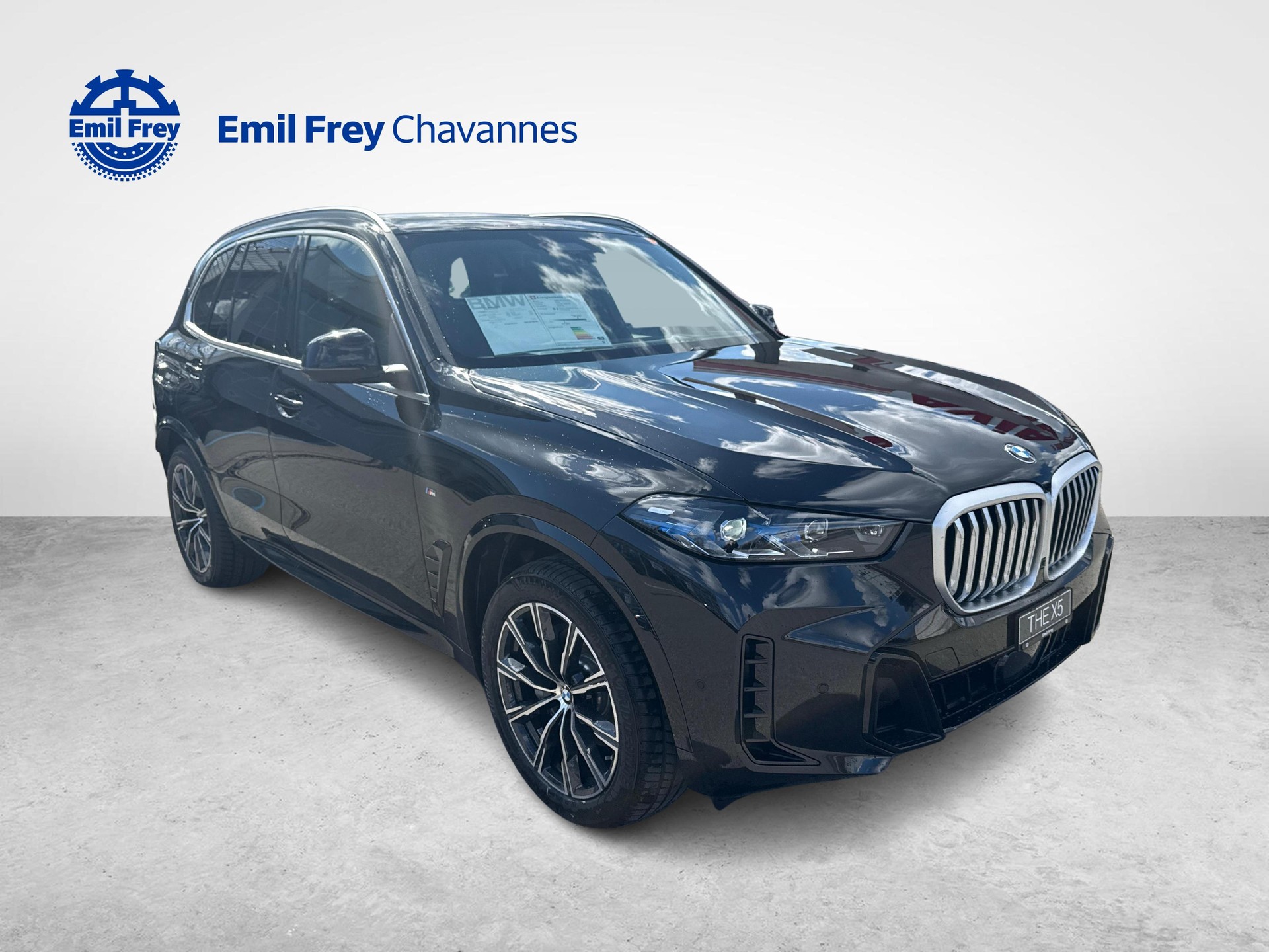 BMW X5 30d xDrive SAG Kit sport M-image-6