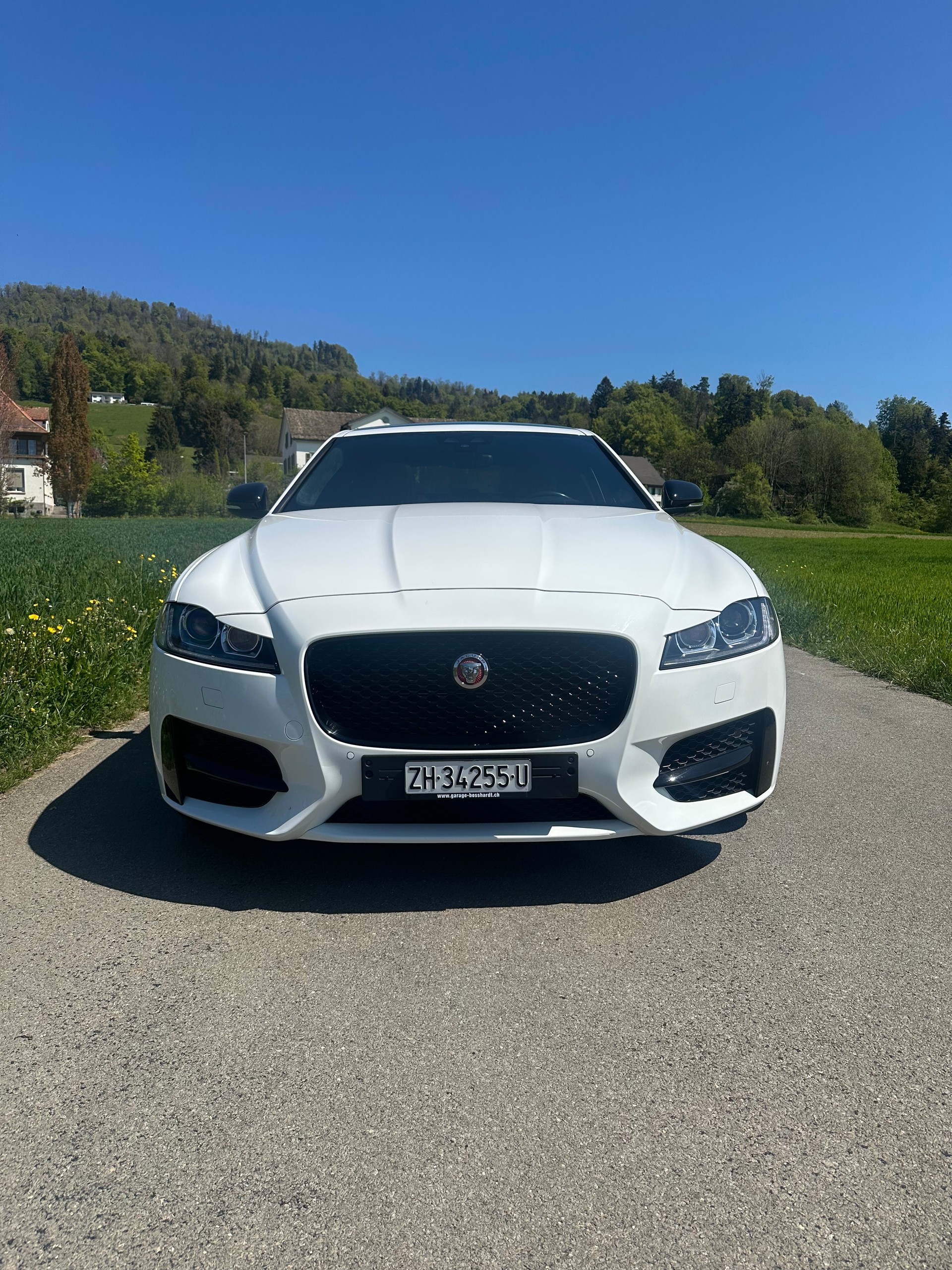 JAGUAR 2.0 T R-Sport-image-1