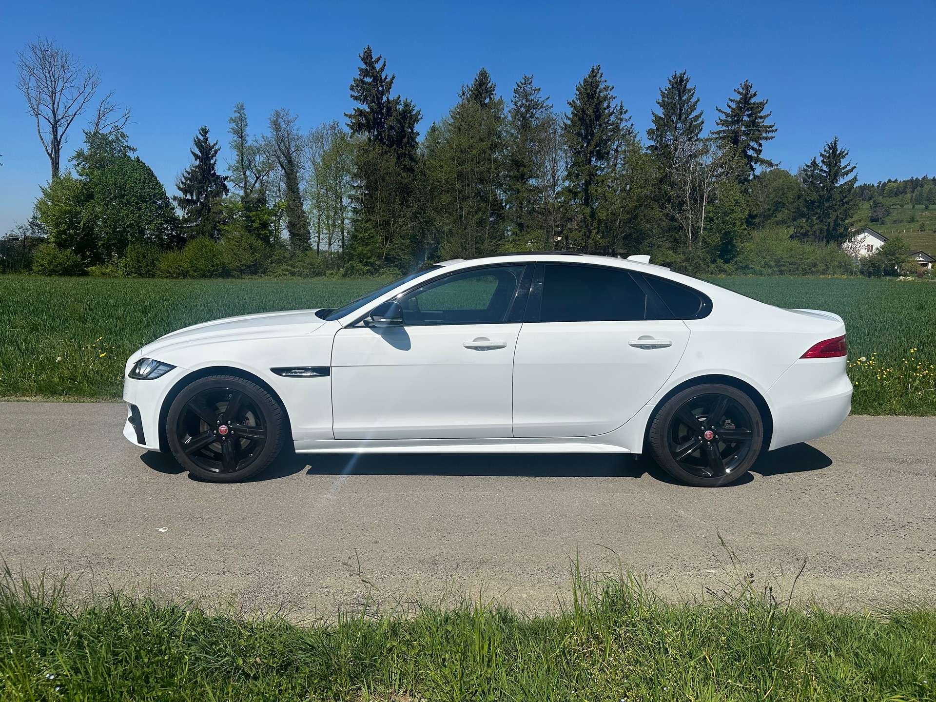 JAGUAR 2.0 T R-Sport-image-4