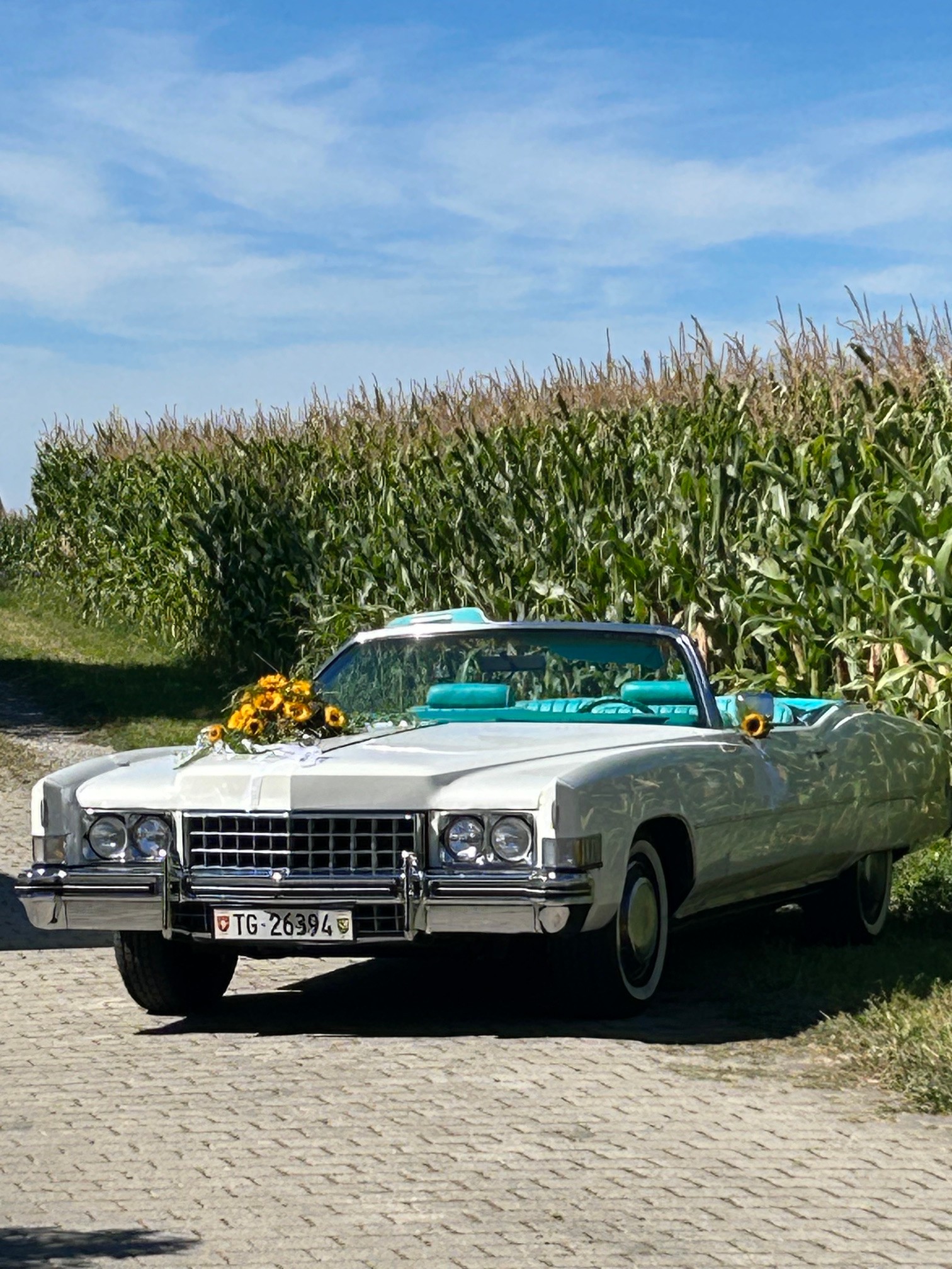 CADILLAC ELDORADO-image-2