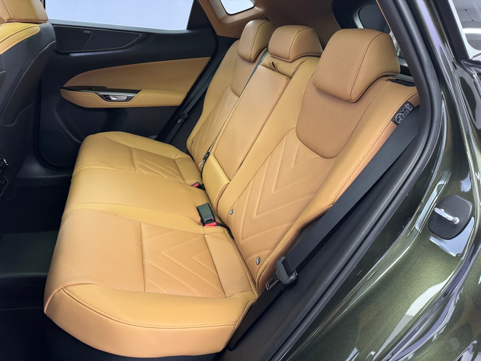 NX 450h+ Excellence E-FOUR Plug-in-Hybrid