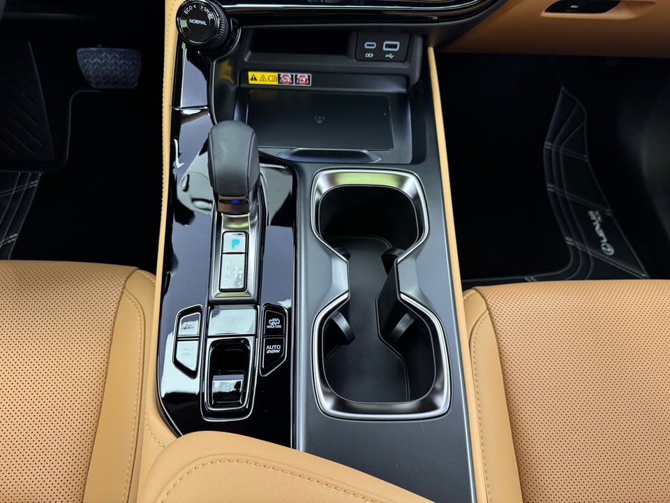 NX 450h+ Excellence E-FOUR Plug-in-Hybrid