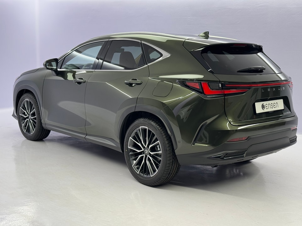 NX 450h+ Excellence E-FOUR Plug-in-Hybrid