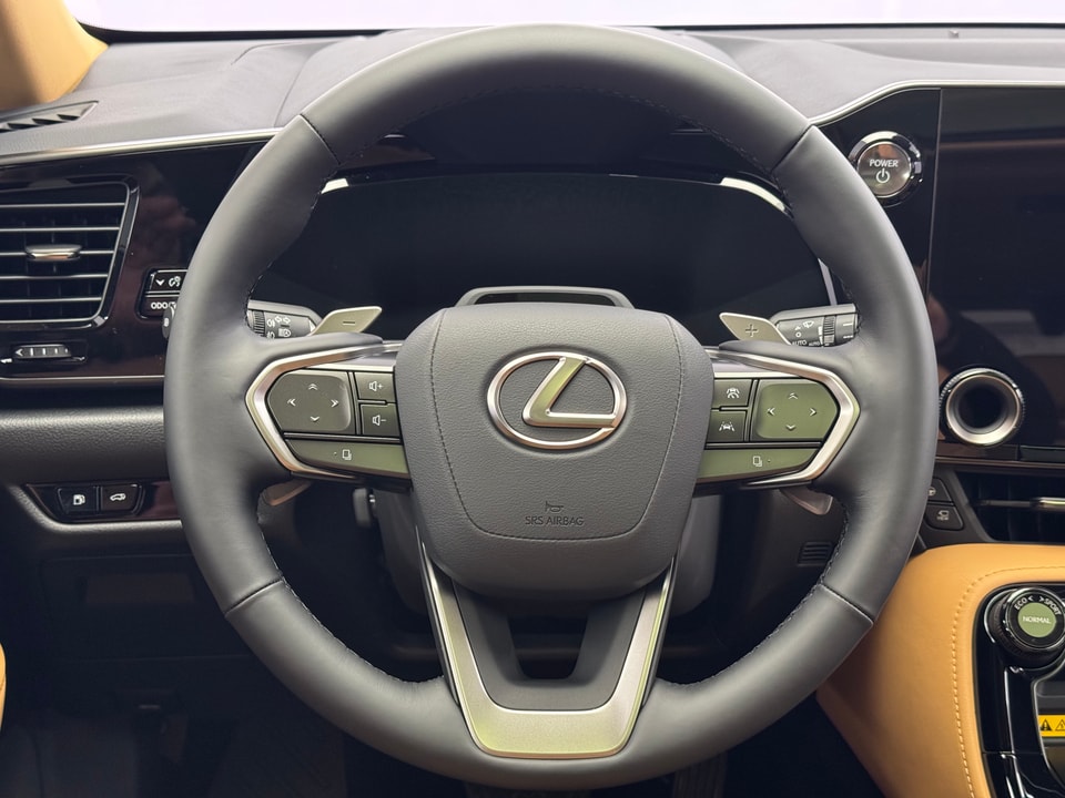 NX 450h+ Excellence E-FOUR Plug-in-Hybrid