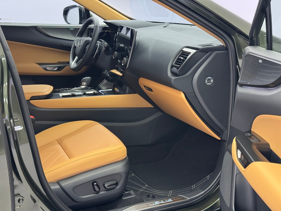 NX 450h+ Excellence E-FOUR Plug-in-Hybrid