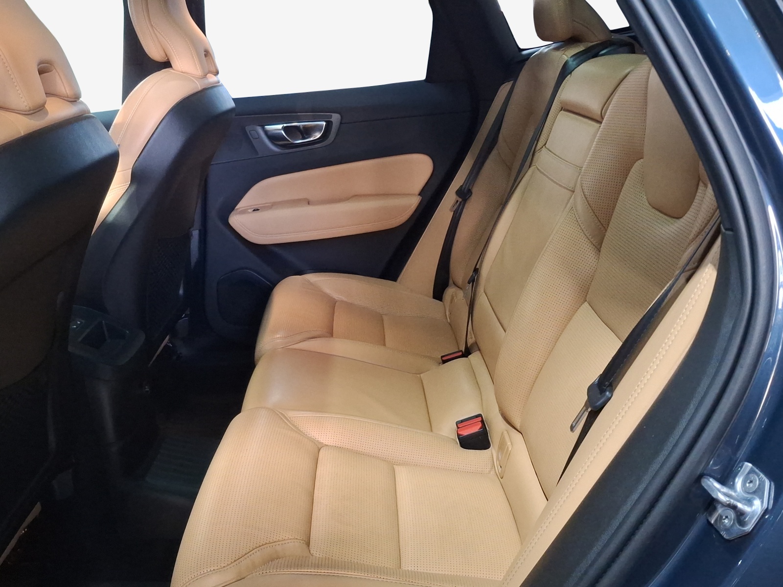 VOLVO XC60 T8 eAWD Inscription Geartronic-image-12
