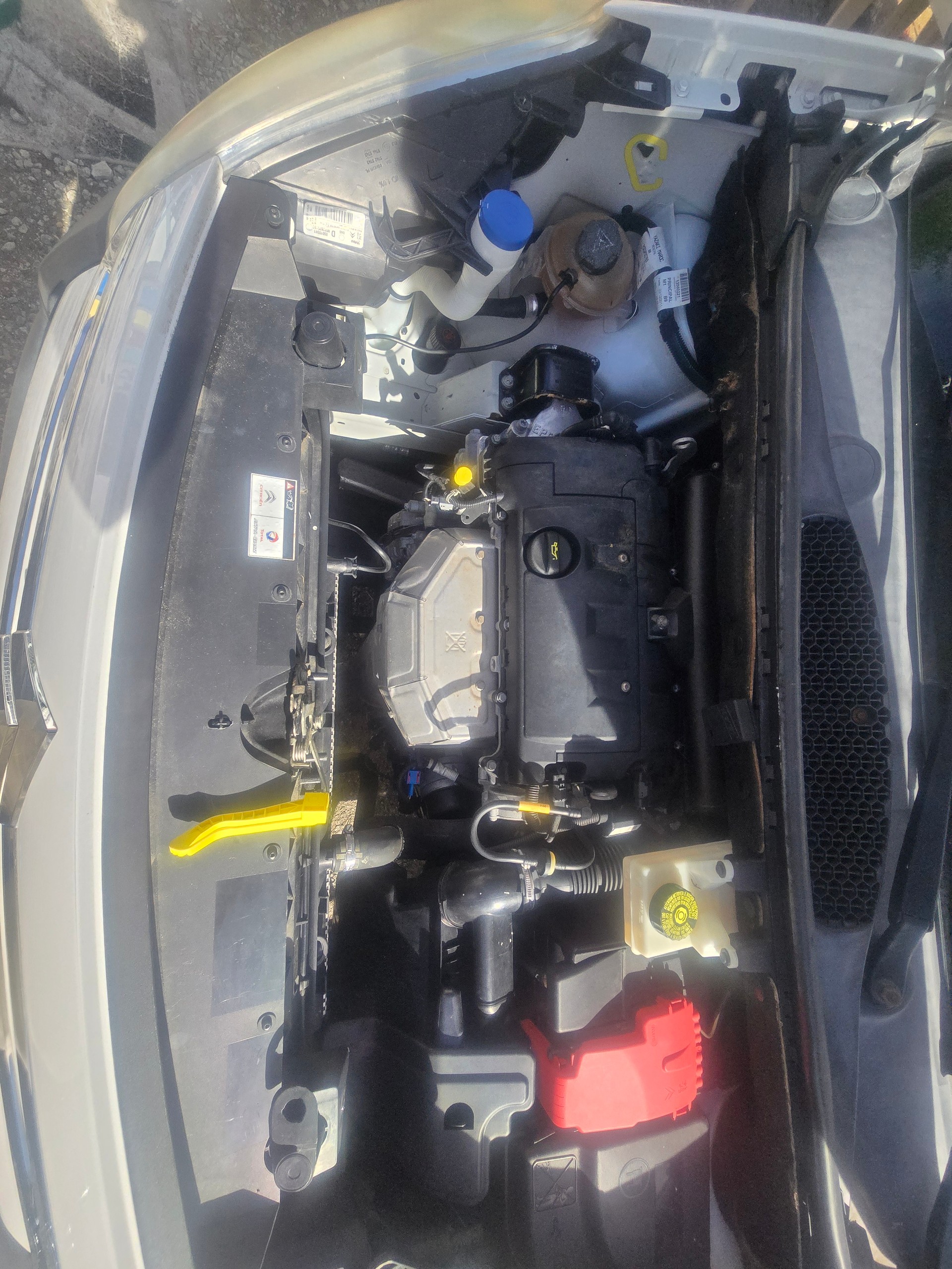 CITROEN Berlingo 1.6i 600 Komfort (Confort)-image-4