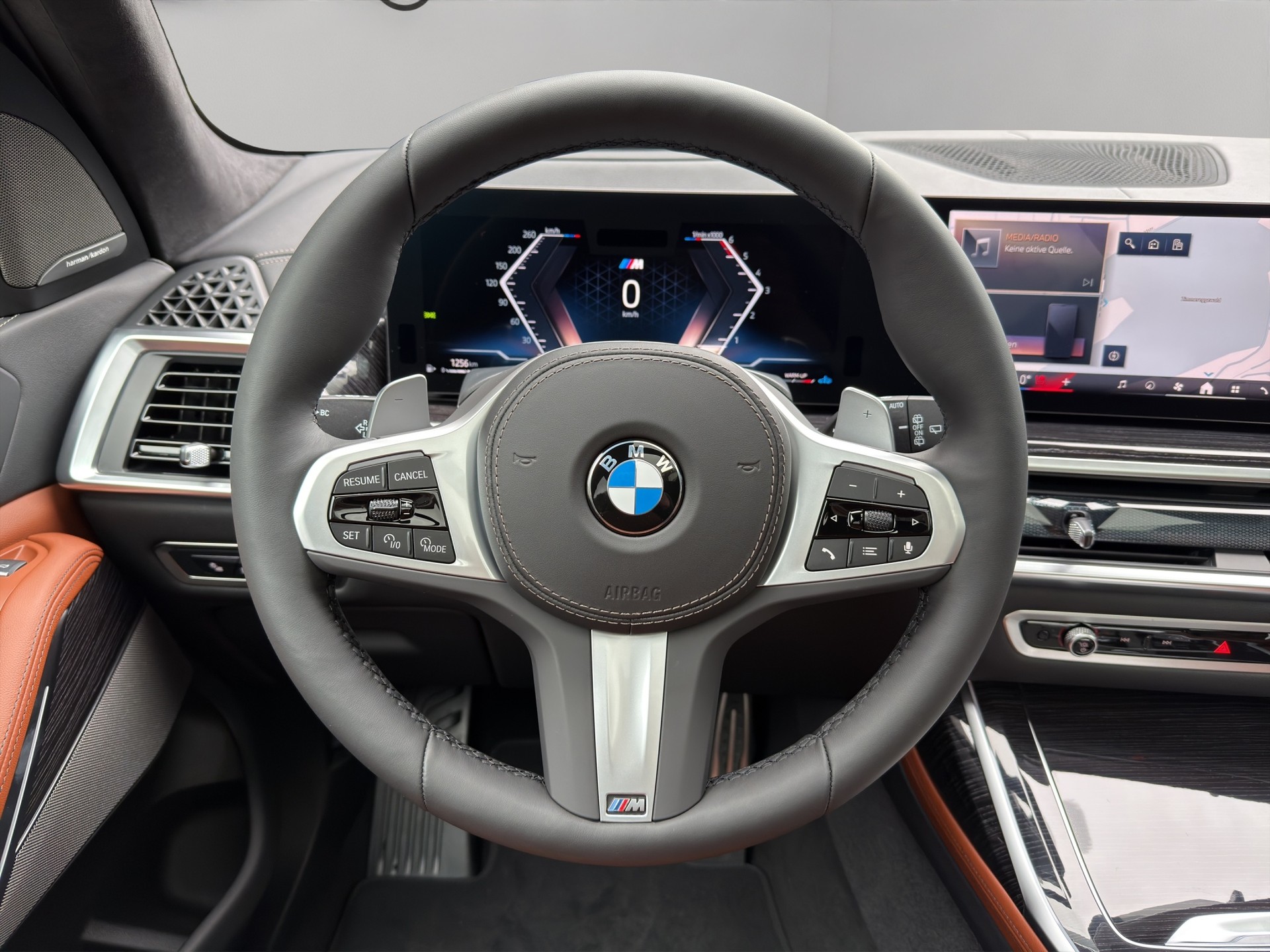 BMW X7 xDrive 48V 40d M Sport Pro Steptronic-image-12