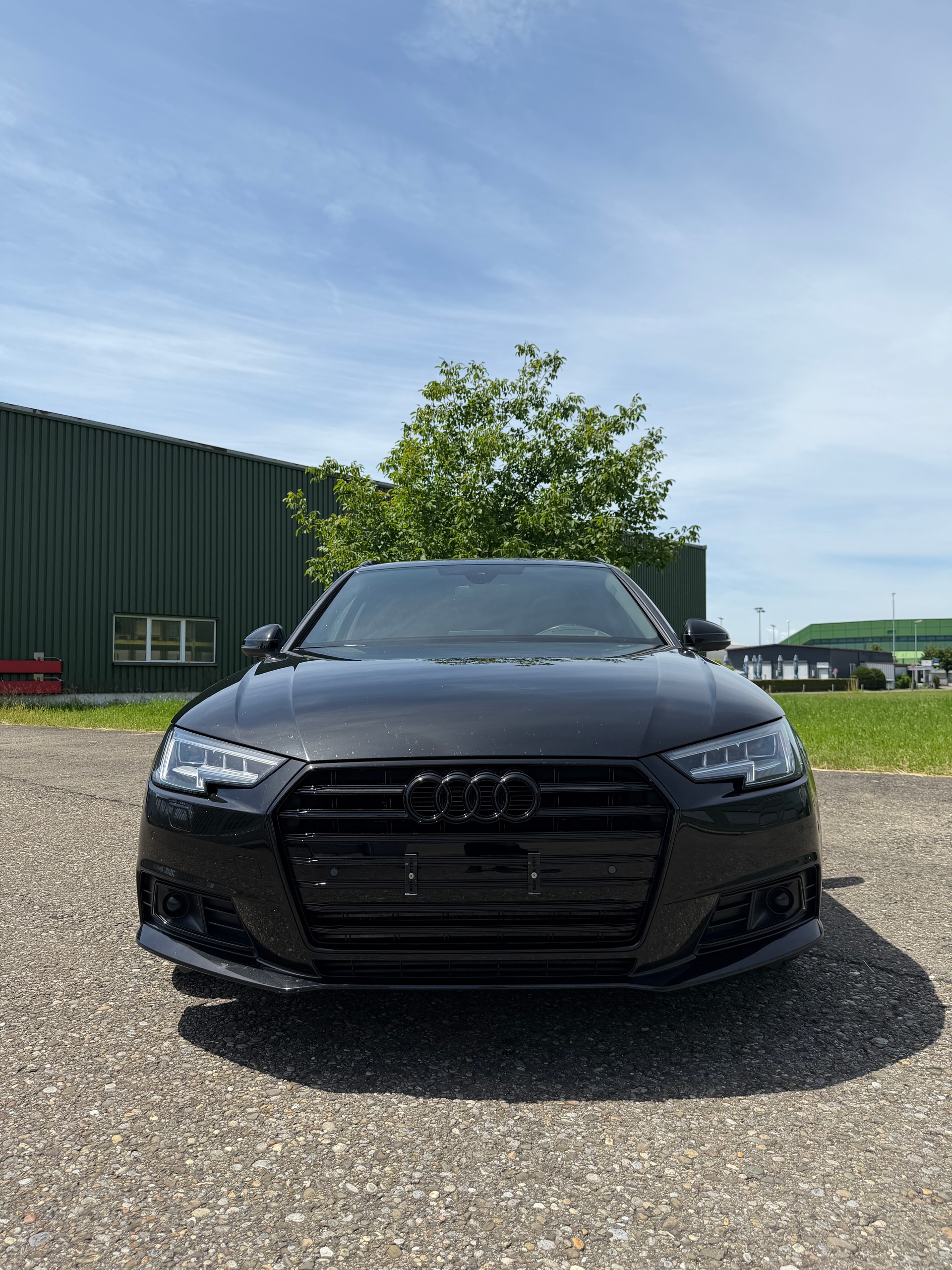 AUDI Audi A4 3.0 TDI QUATTRO | STEUERKETTE NEU | PANO | B&O | VOLL-image-1