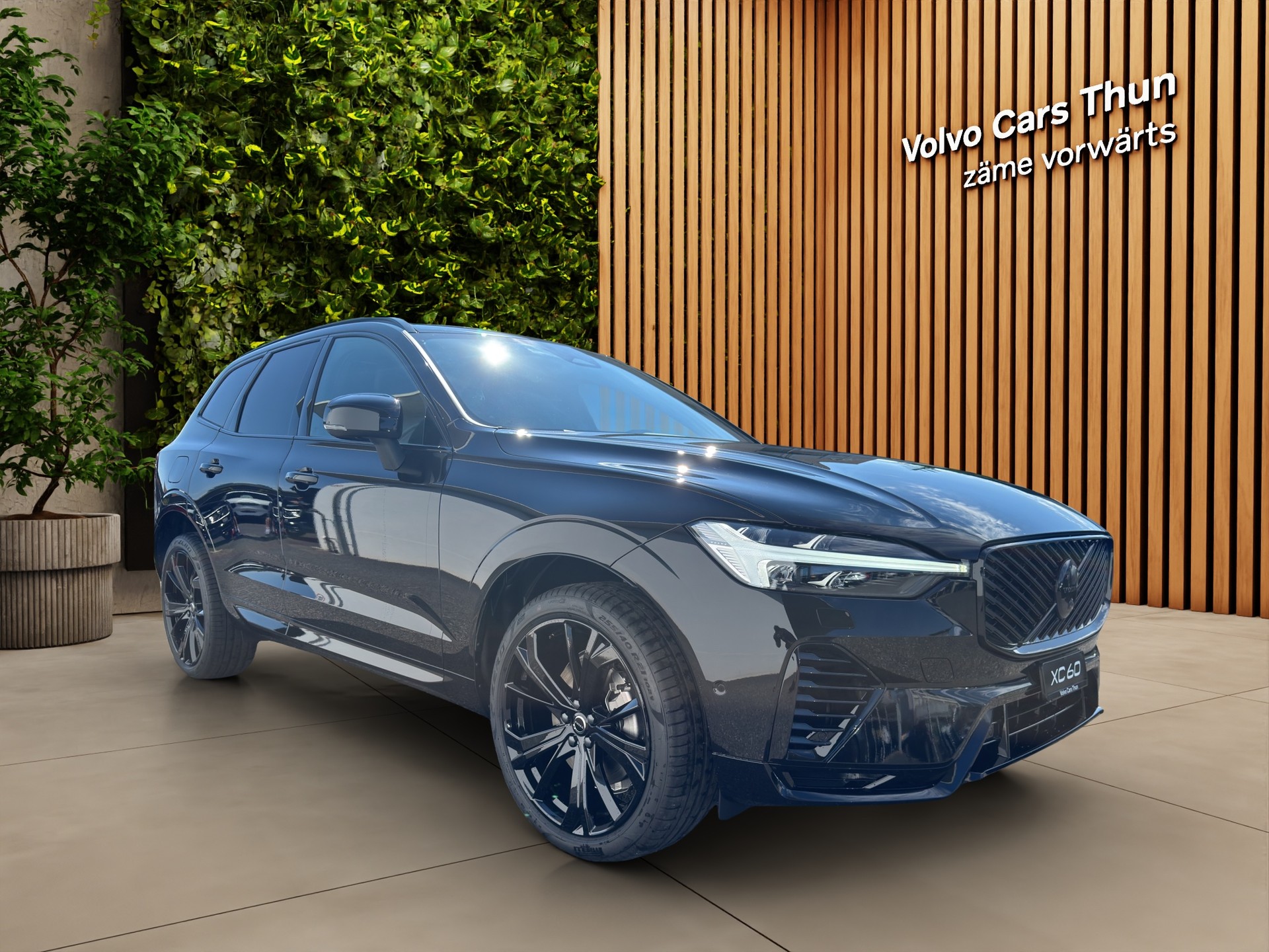 VOLVO XC60 2.0 T8 TE Black Edition eAWD-image-6
