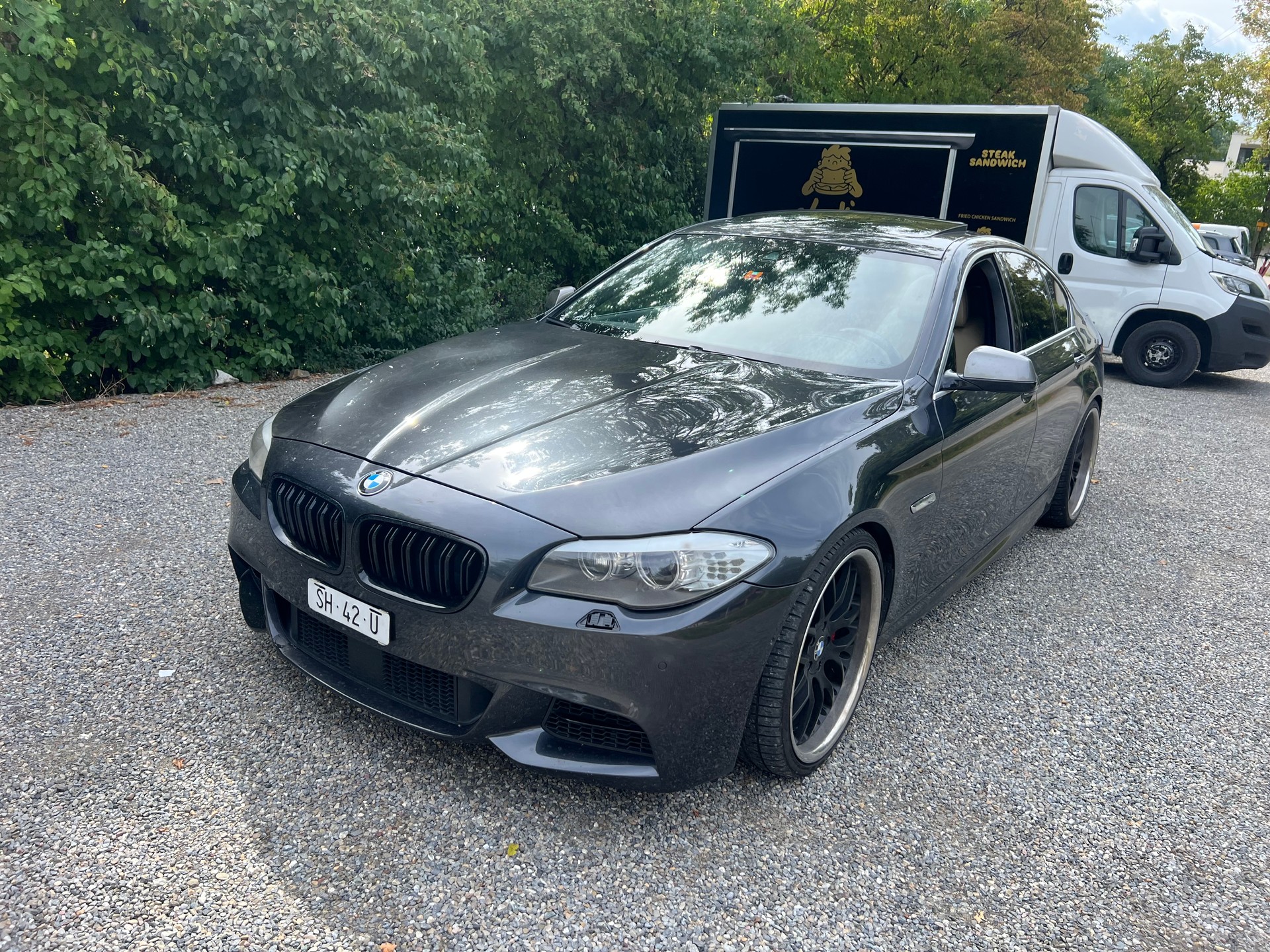 BMW M550d xDrive Steptronic-image-2