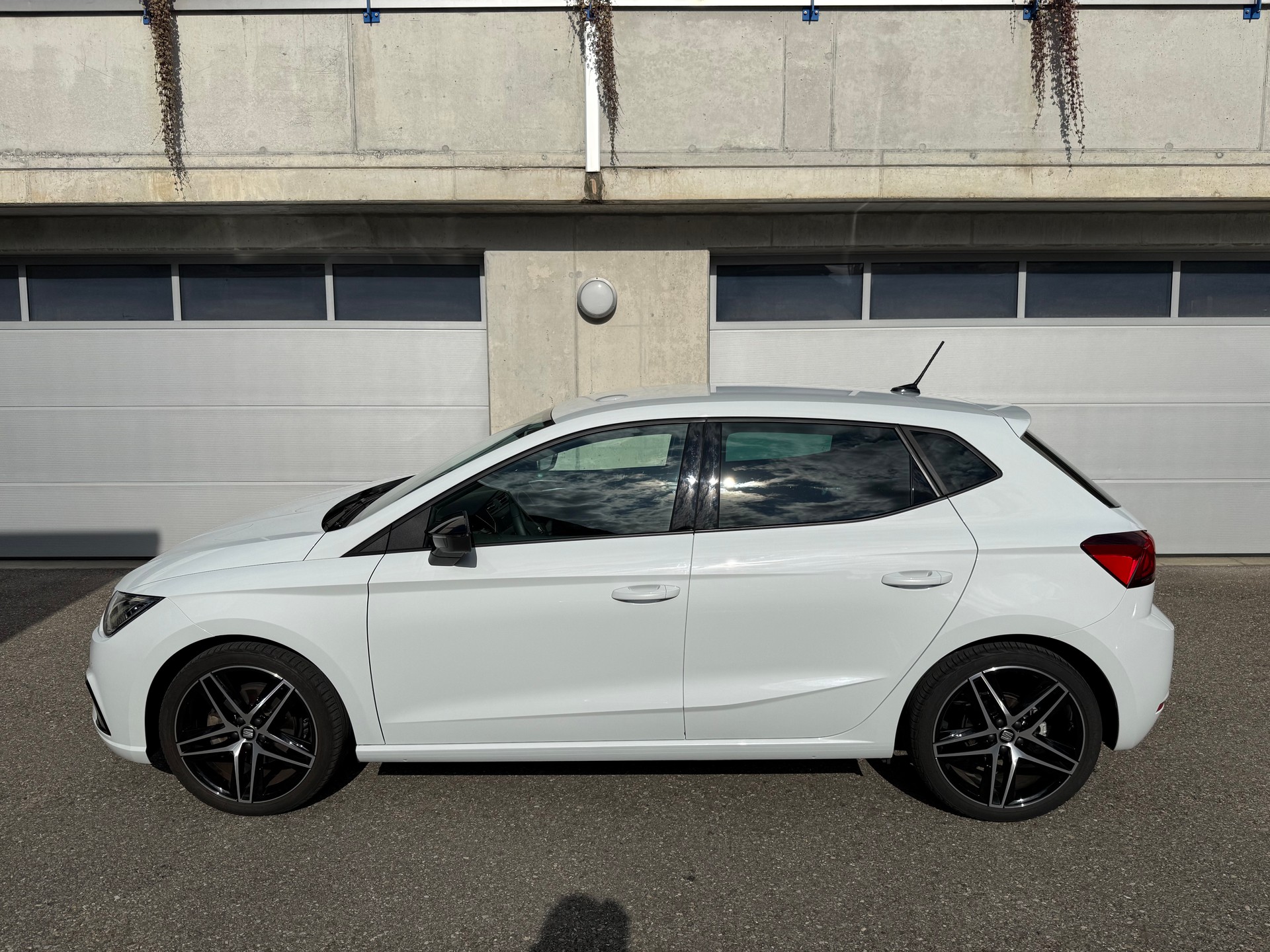 SEAT Ibiza 1.0 EcoTSI DSG Swiss FR-image-6