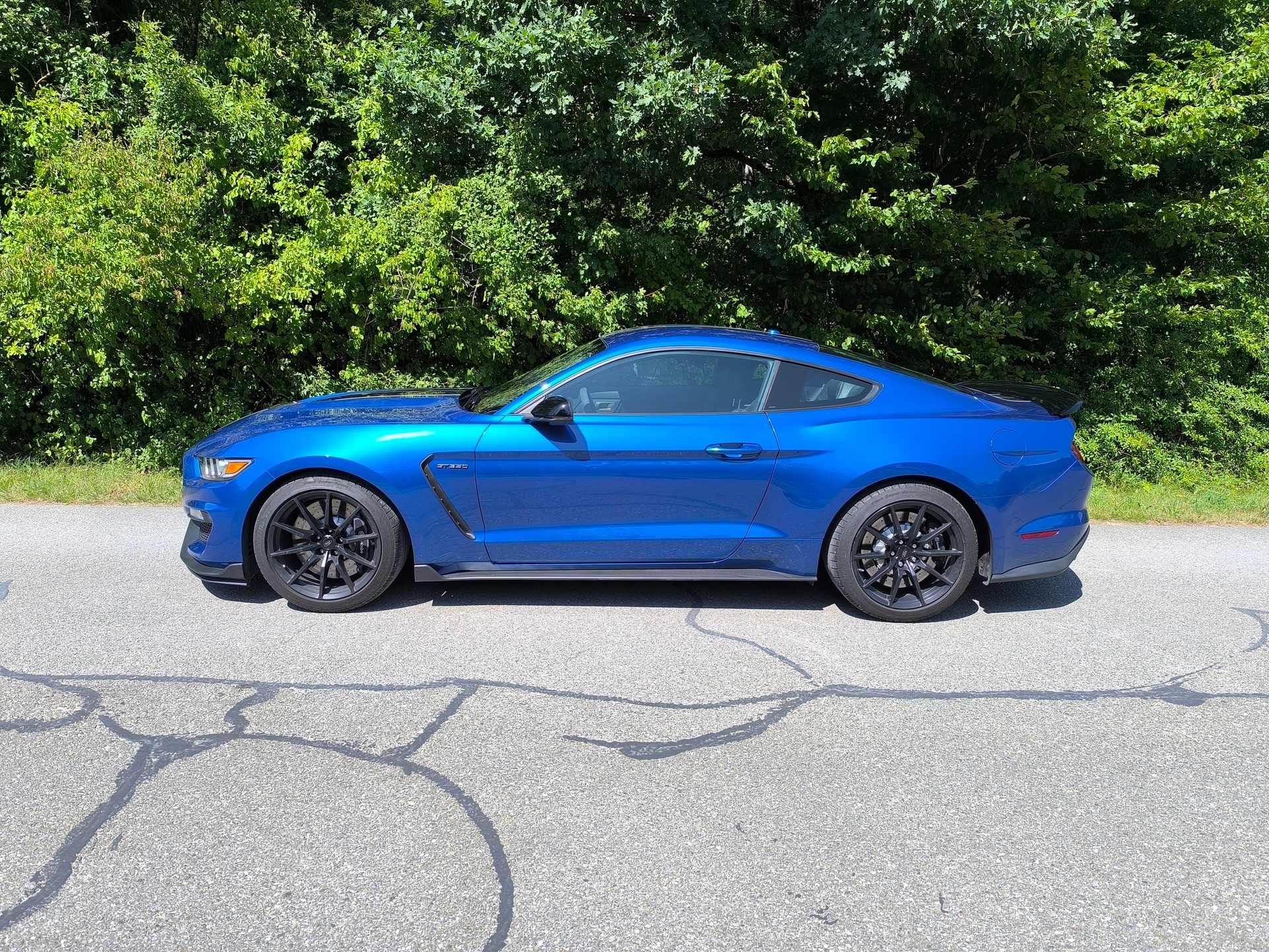 FORD Shelby GT350-image-2