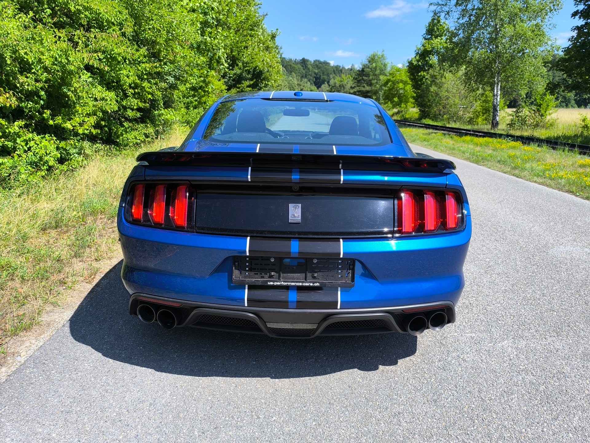 FORD Shelby GT350-image-4