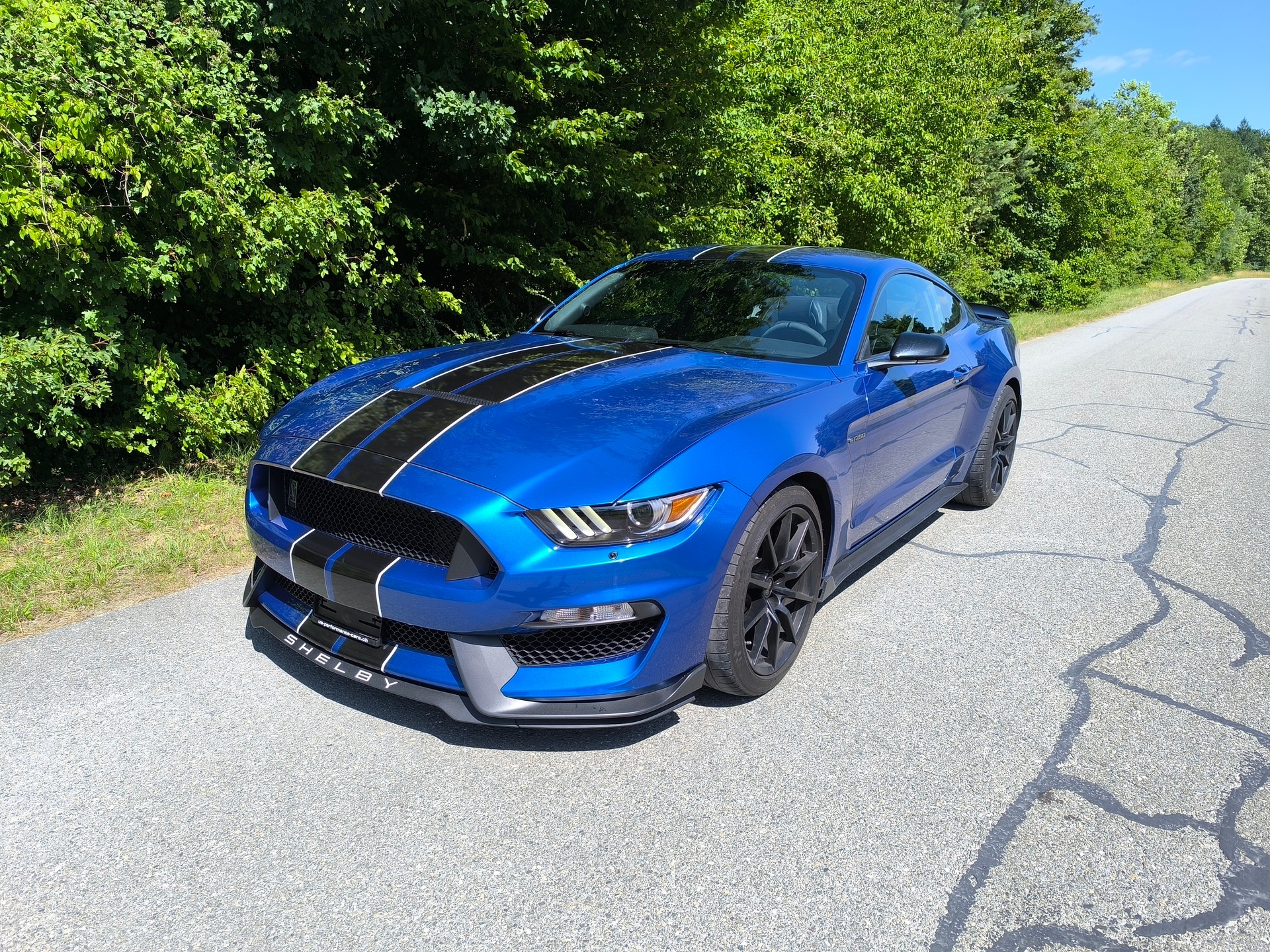 FORD Shelby GT350-image-0