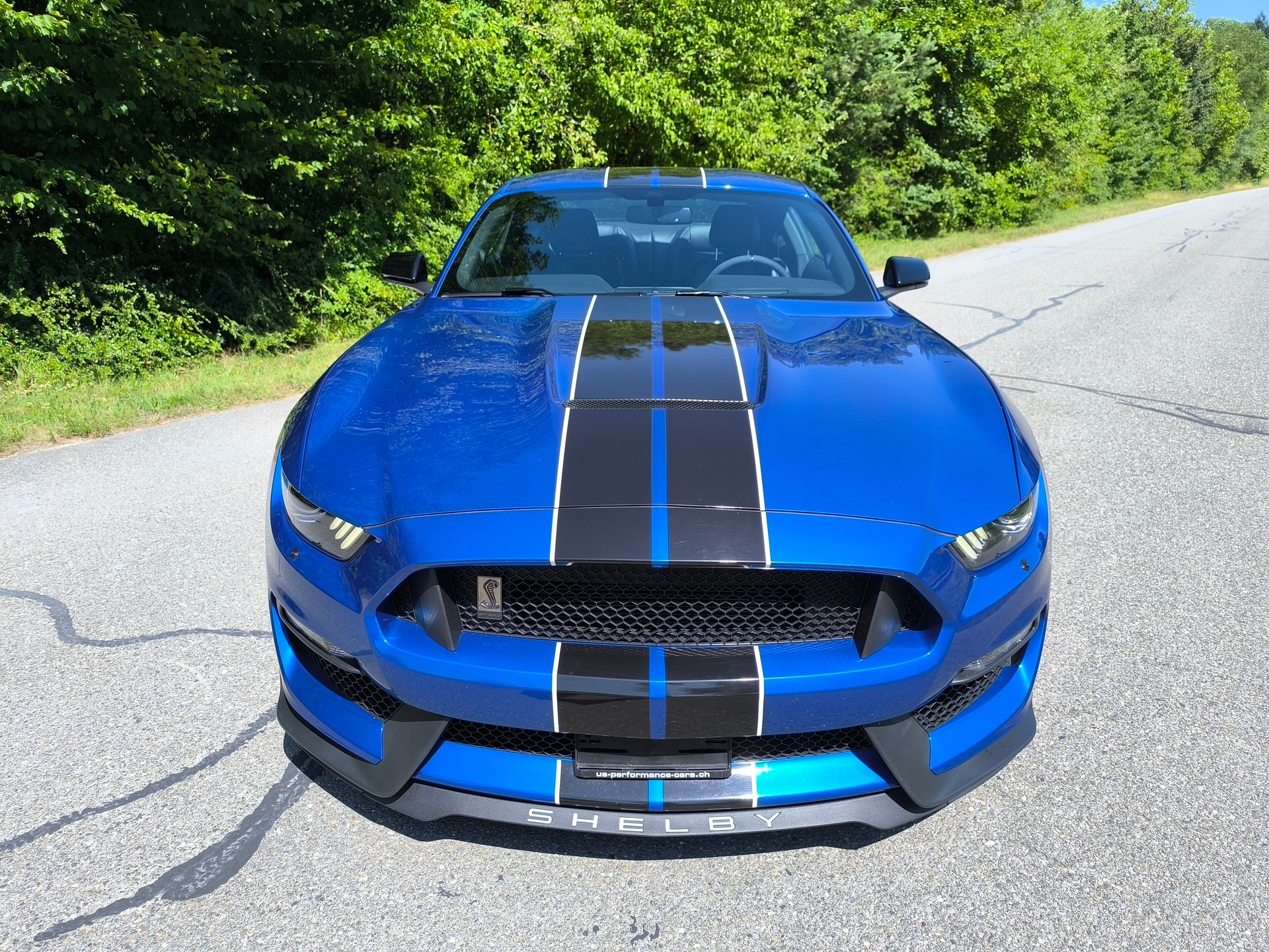 FORD Shelby GT350-image-1