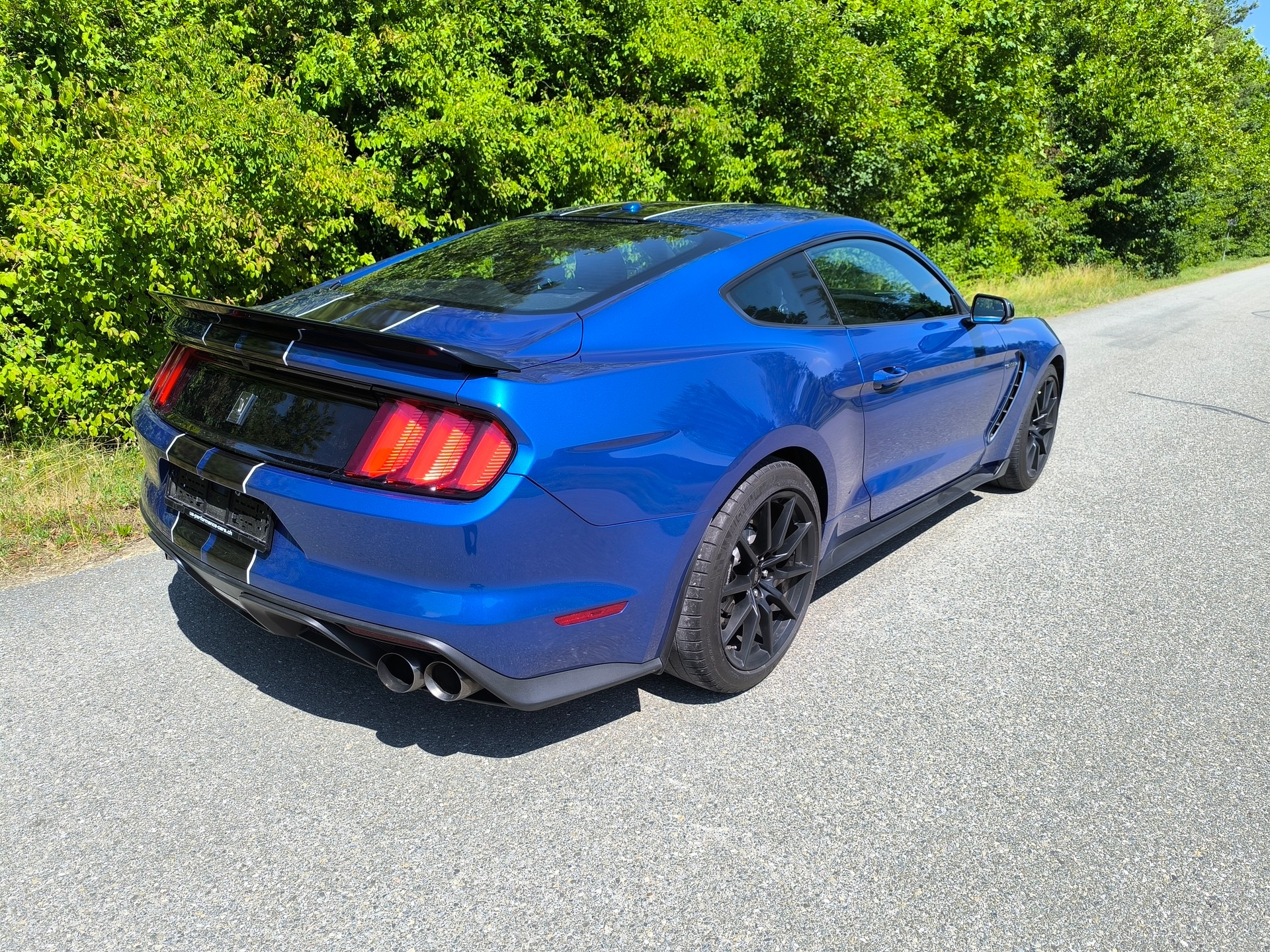 FORD Shelby GT350-image-3