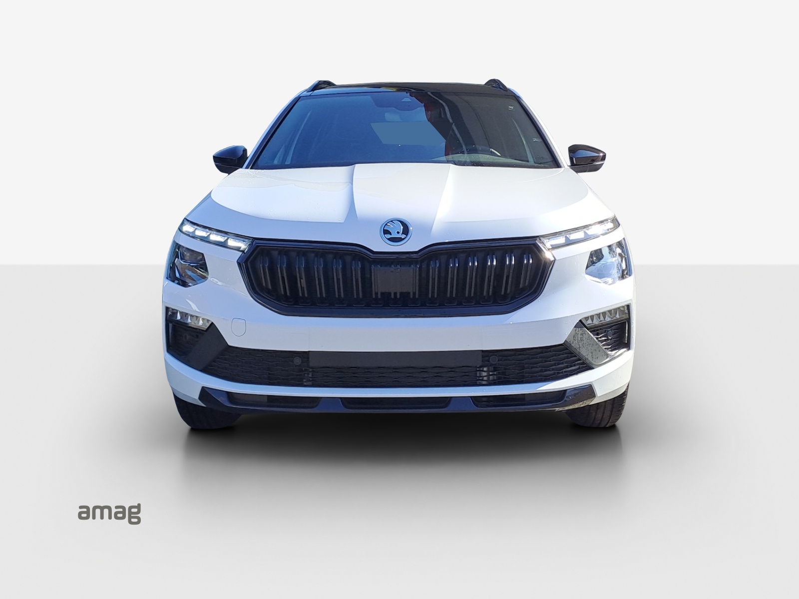 SKODA Kamiq 1.0 TSI Monte Carlo DSG-image-6