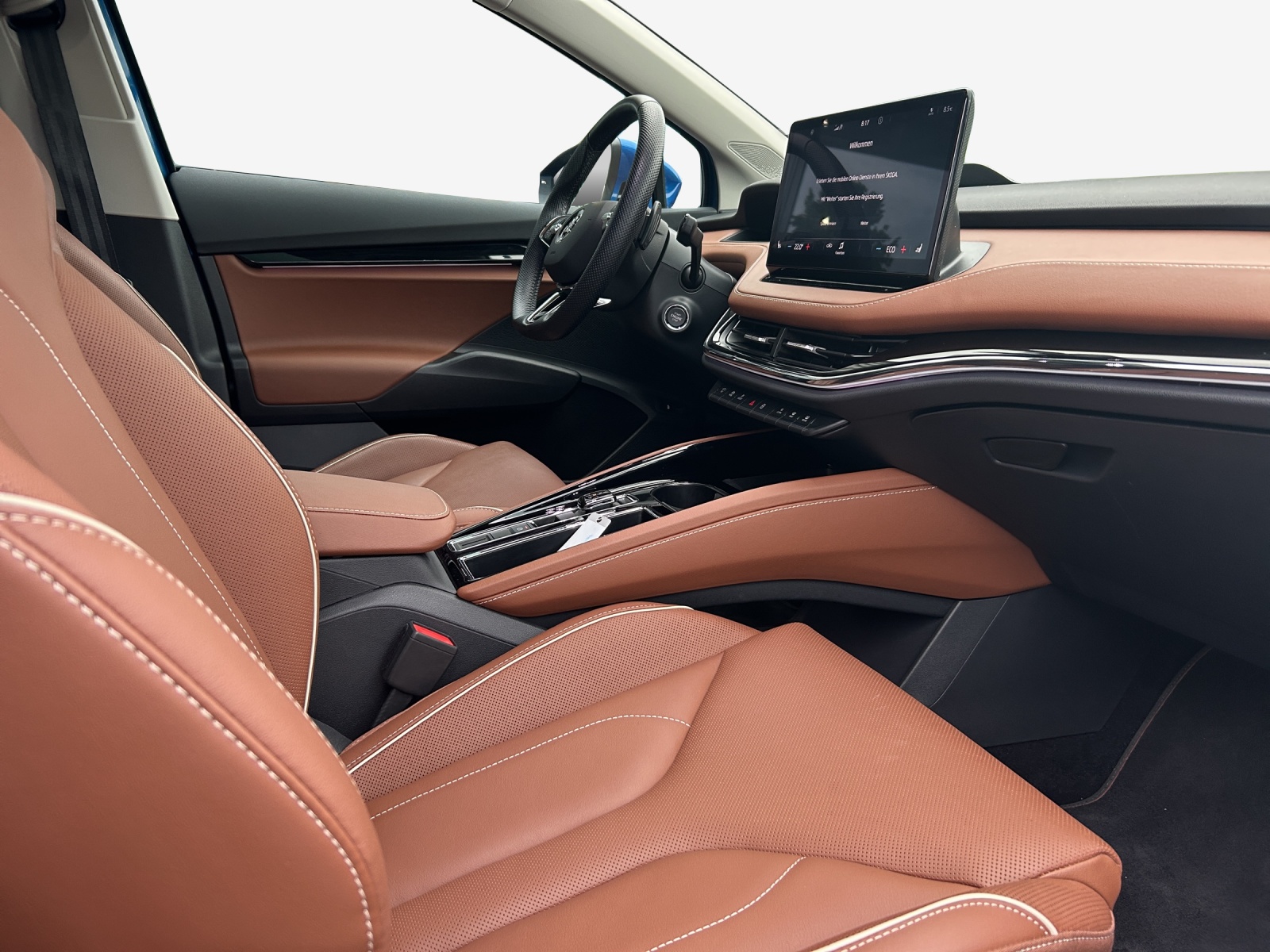 SKODA Enyaq iV 80x-image-14