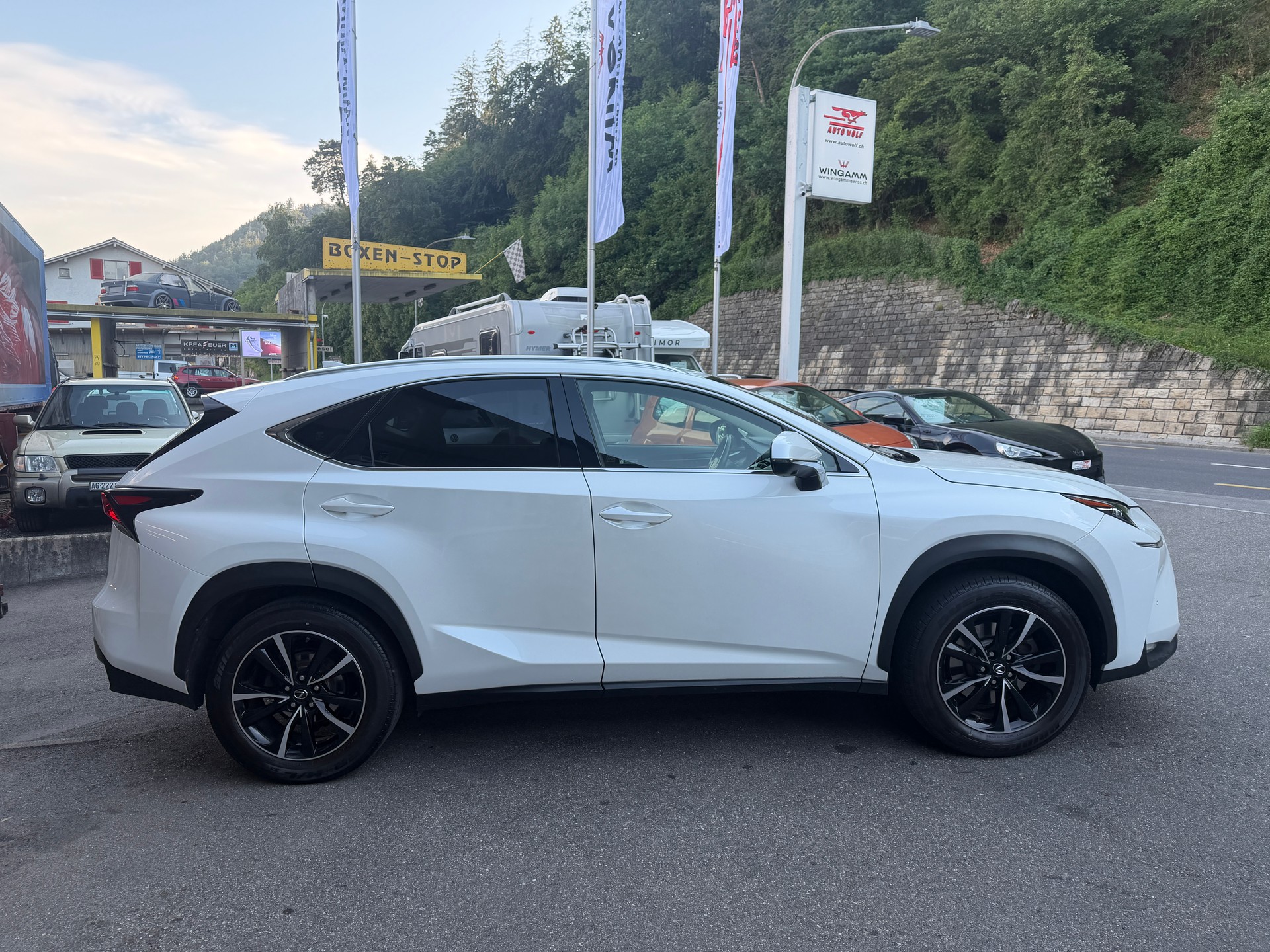 LEXUS NX 300h excellence E-Four Automatic-image-5