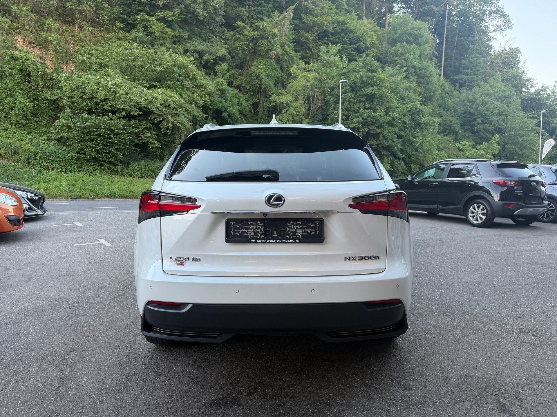 LEXUS NX 300h excellence E-Four Automatic-image-3