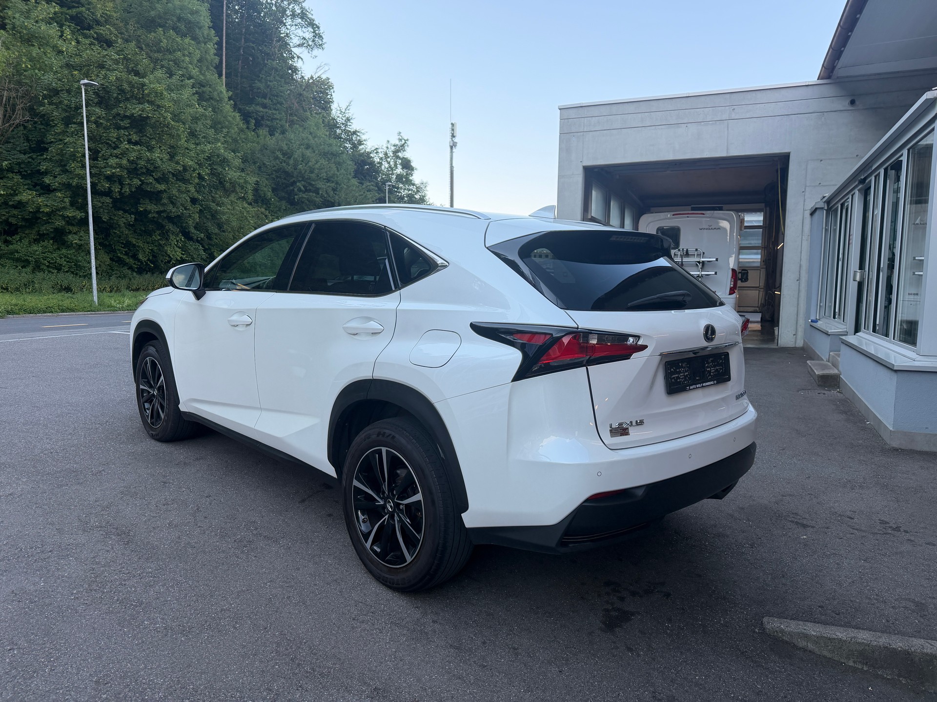 LEXUS NX 300h excellence E-Four Automatic-image-2